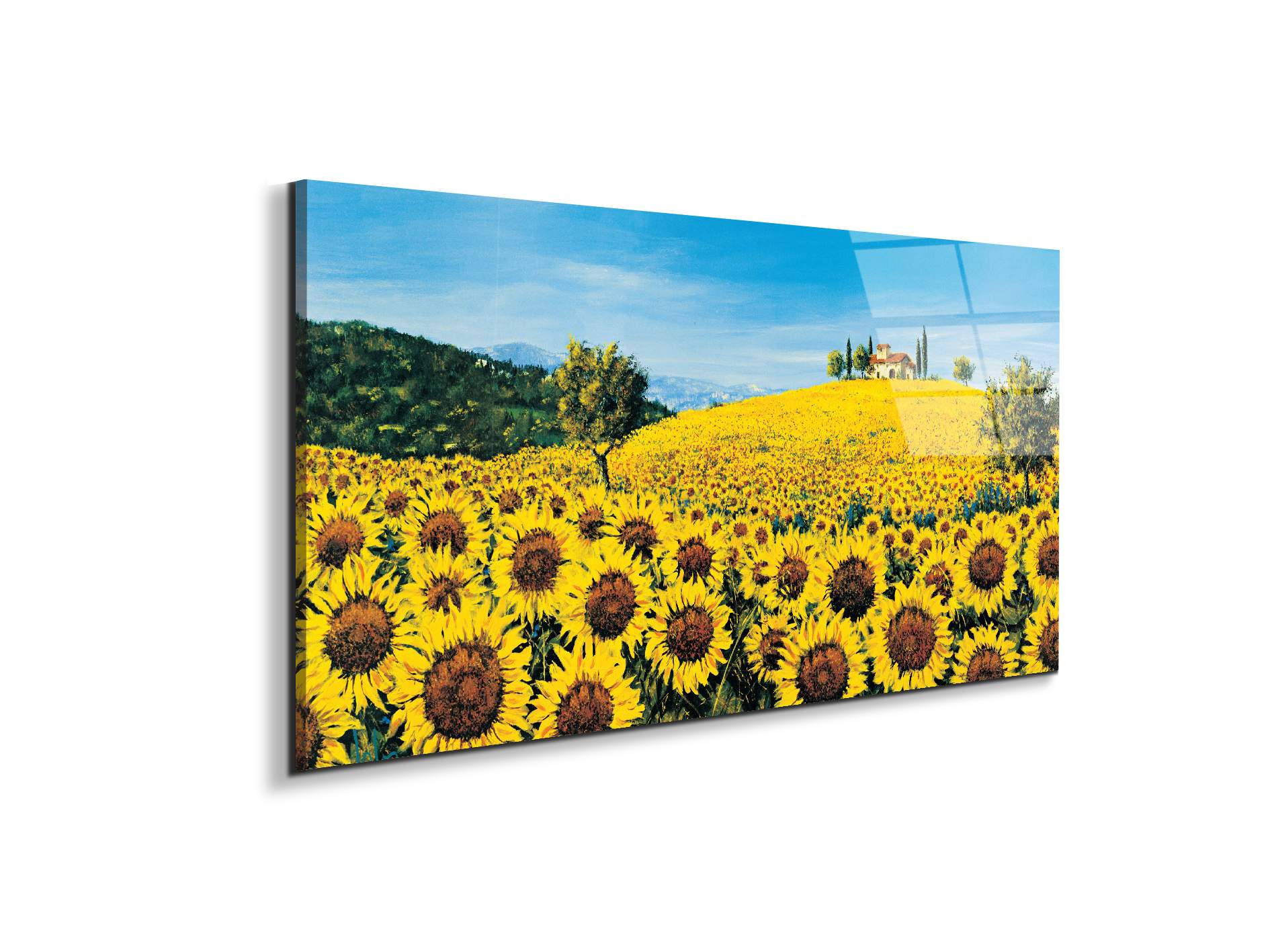 sunflowersec16675-