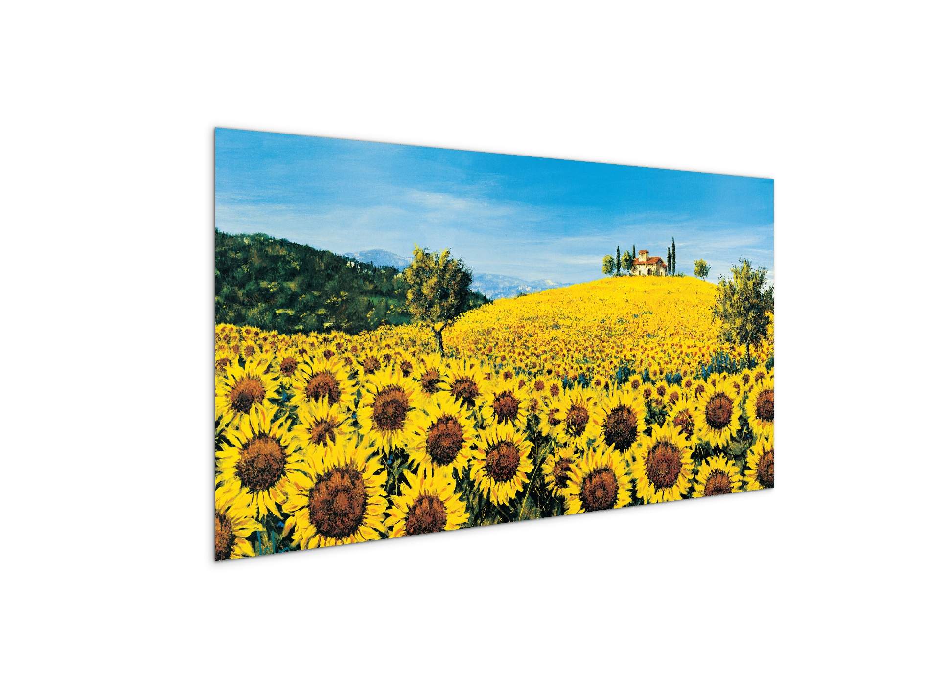 sunflowersec16675-