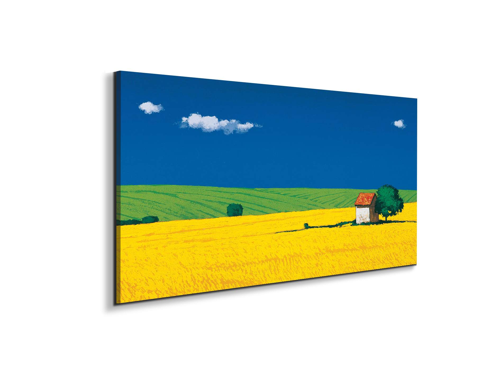 countrysideec16886-