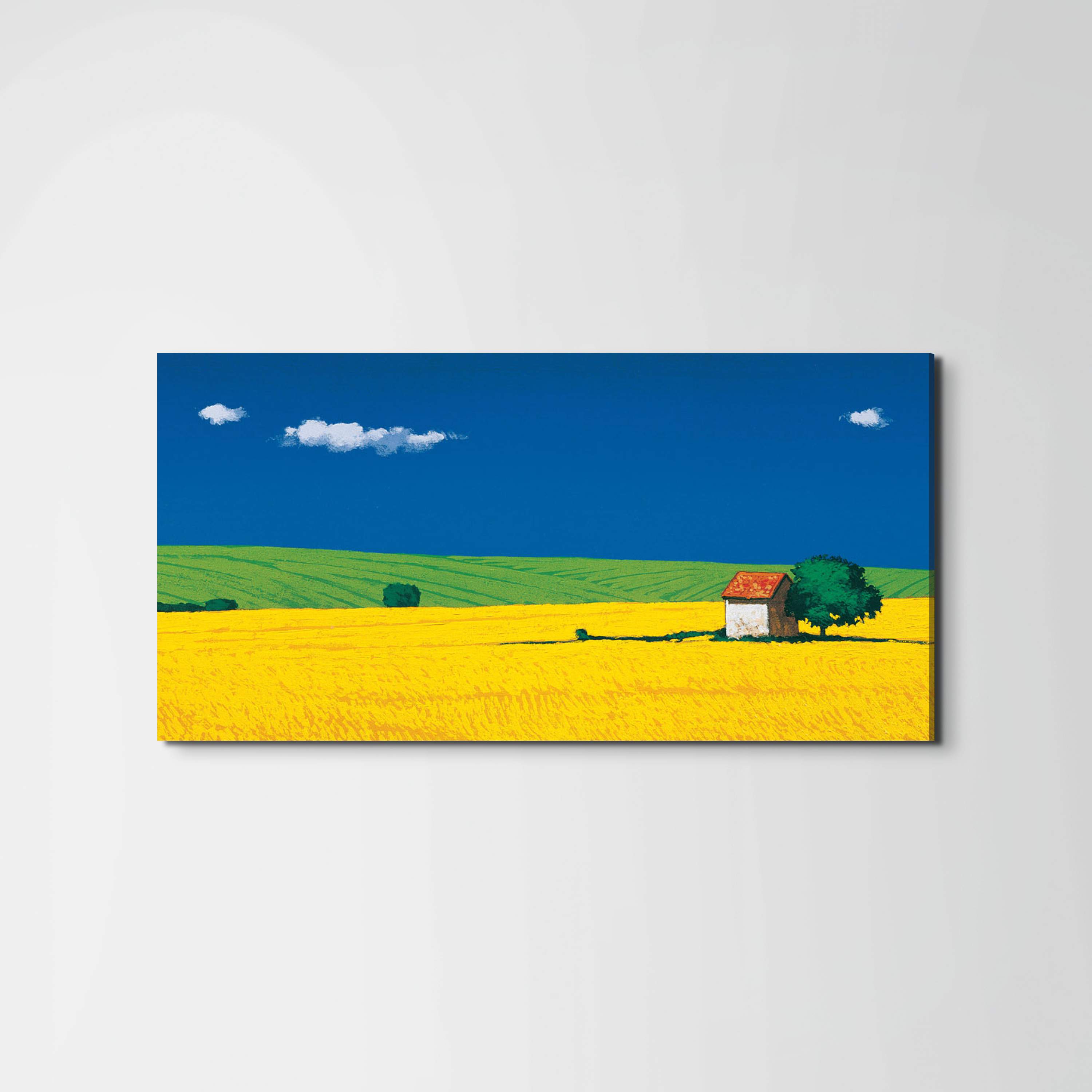 countrysideec16886-