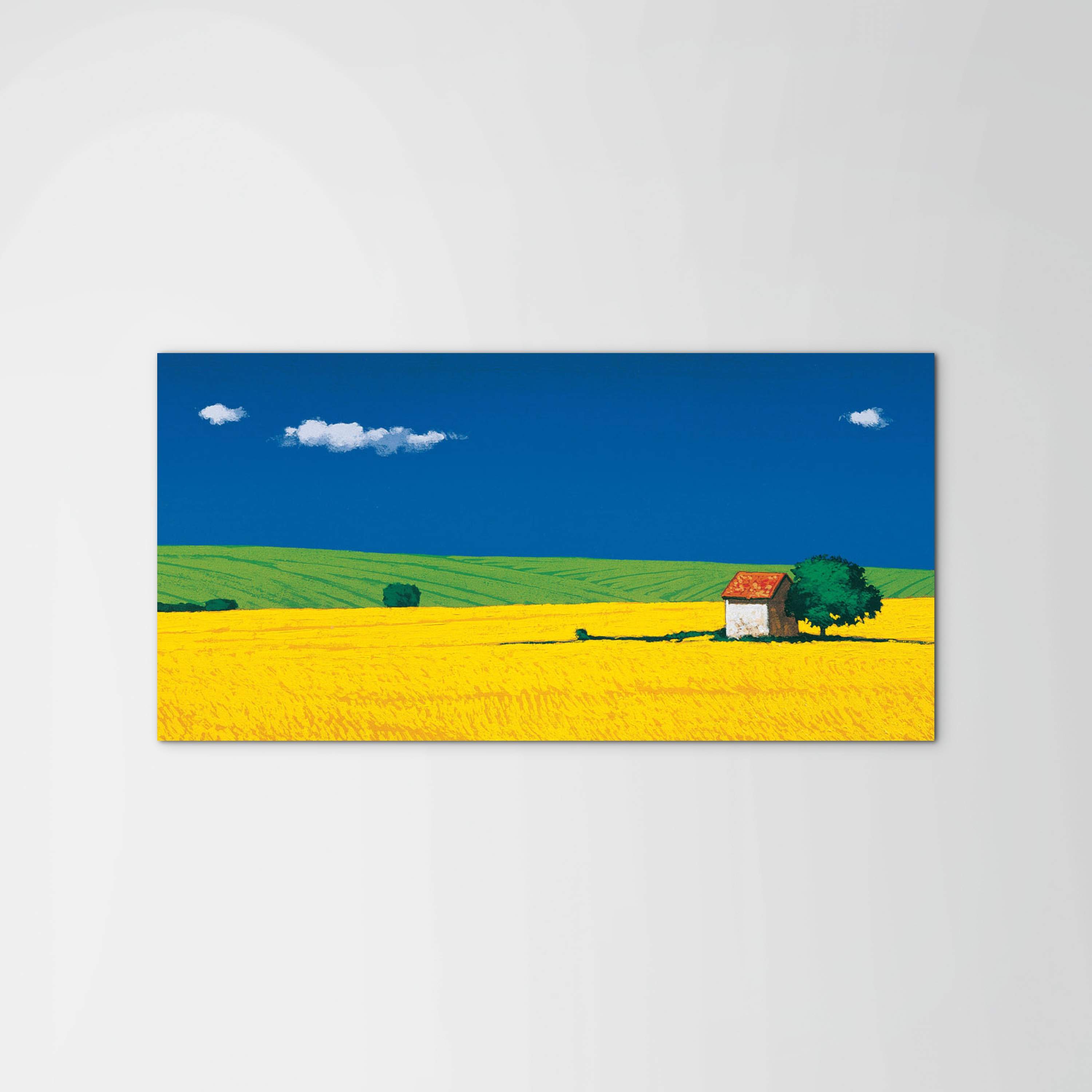 countrysideec16886-
