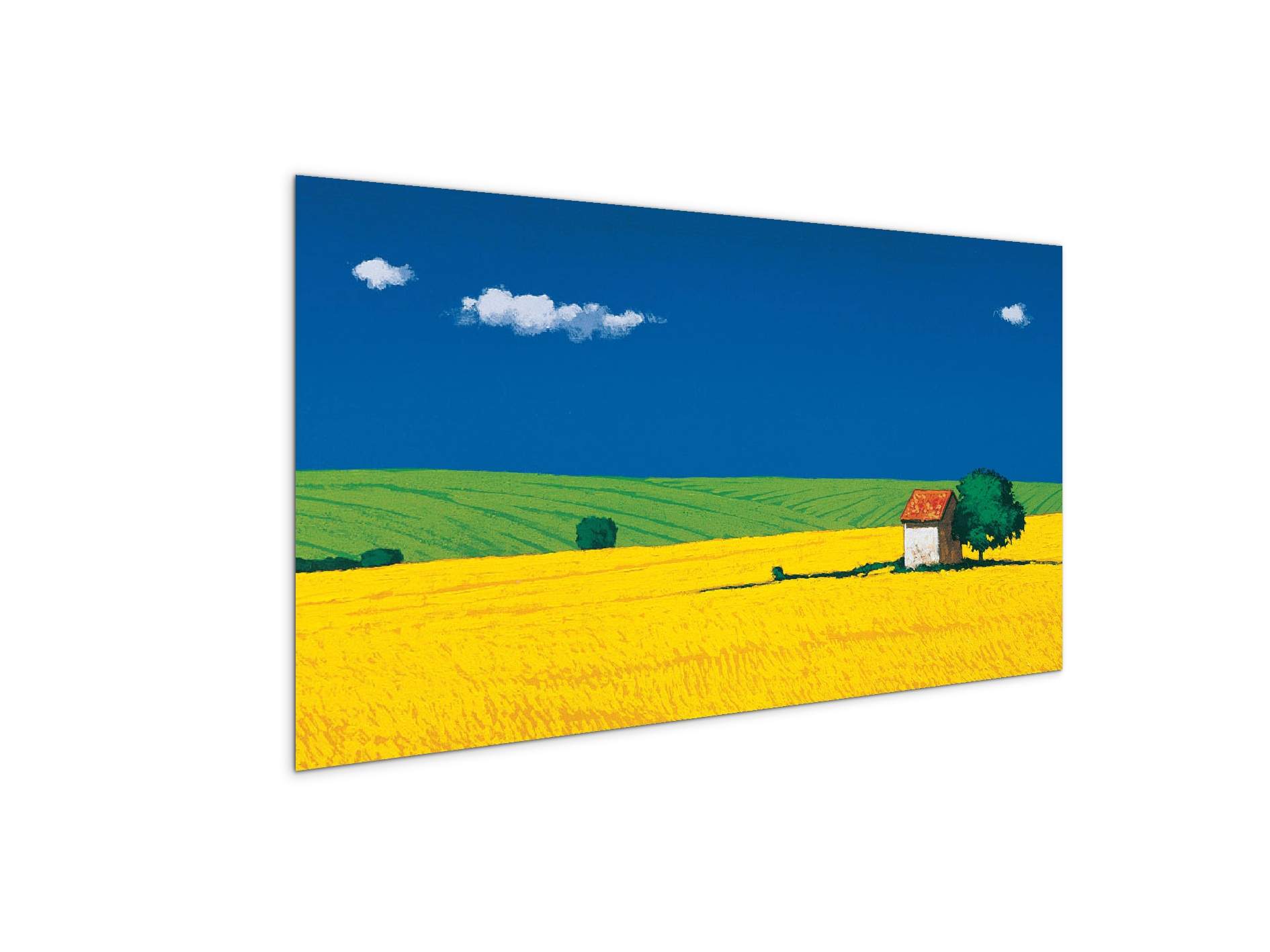 countrysideec16886-