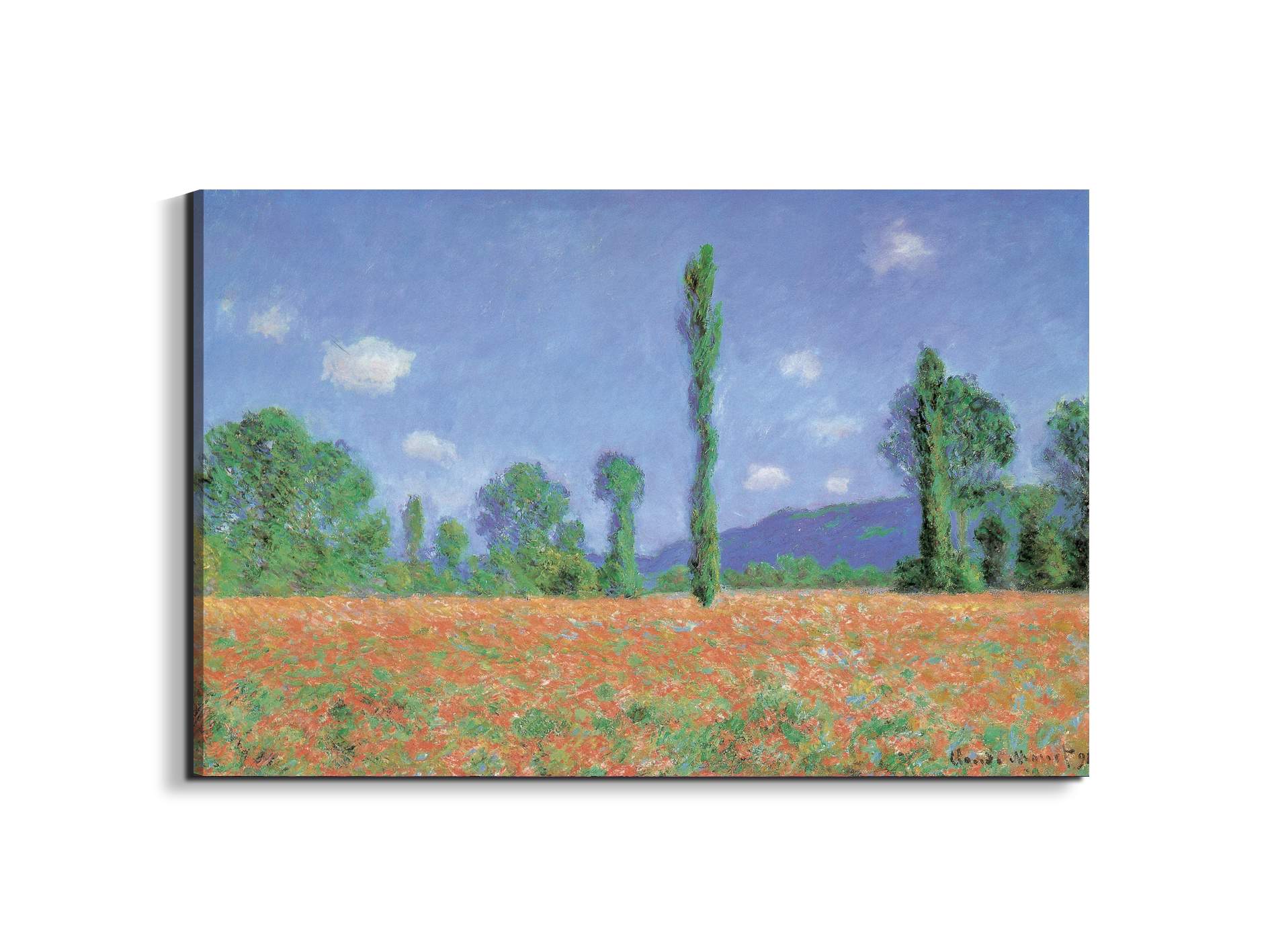 homage-to-monet-poppies-field-iec16960-