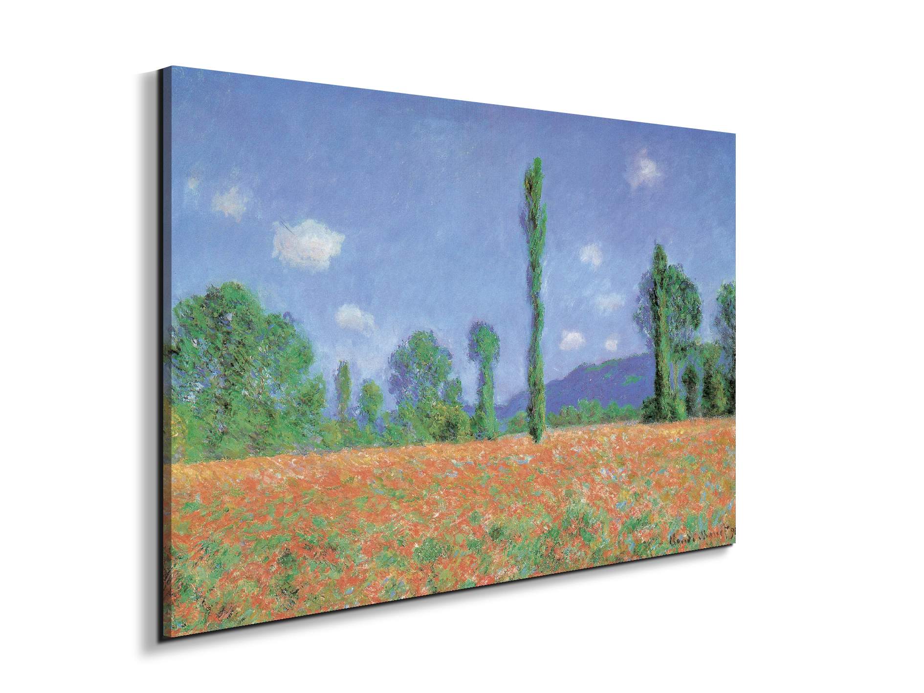 homage-to-monet-poppies-field-iec16960-