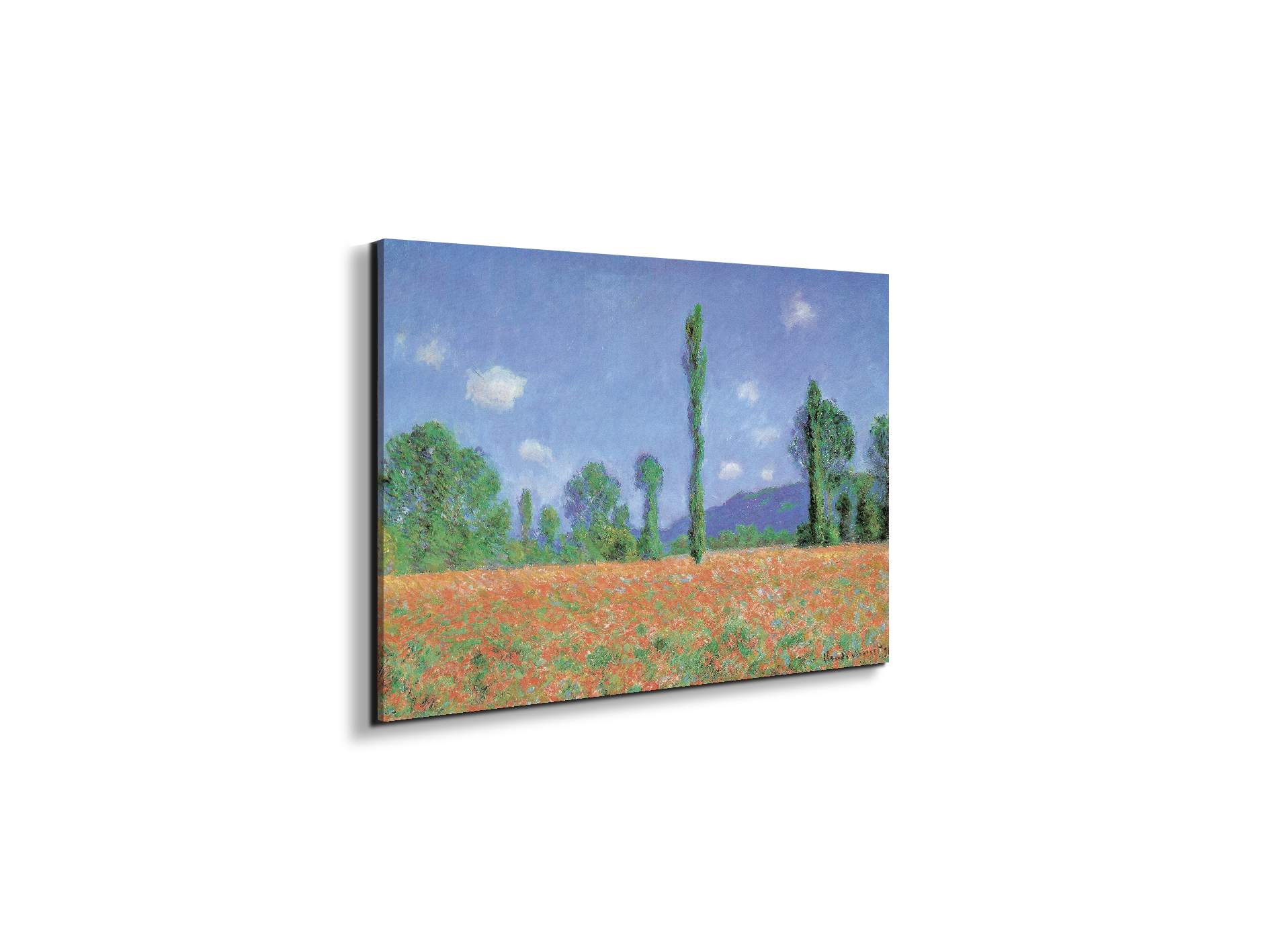 homage-to-monet-poppies-field-iec16960-