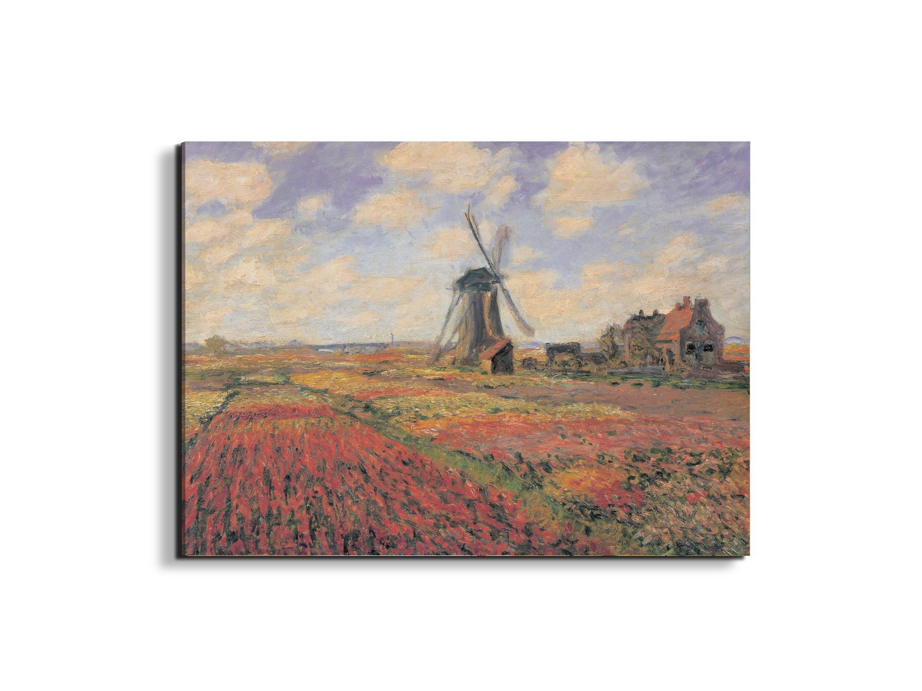 homage-to-monet-tulip-fields-with-windhillec16974-