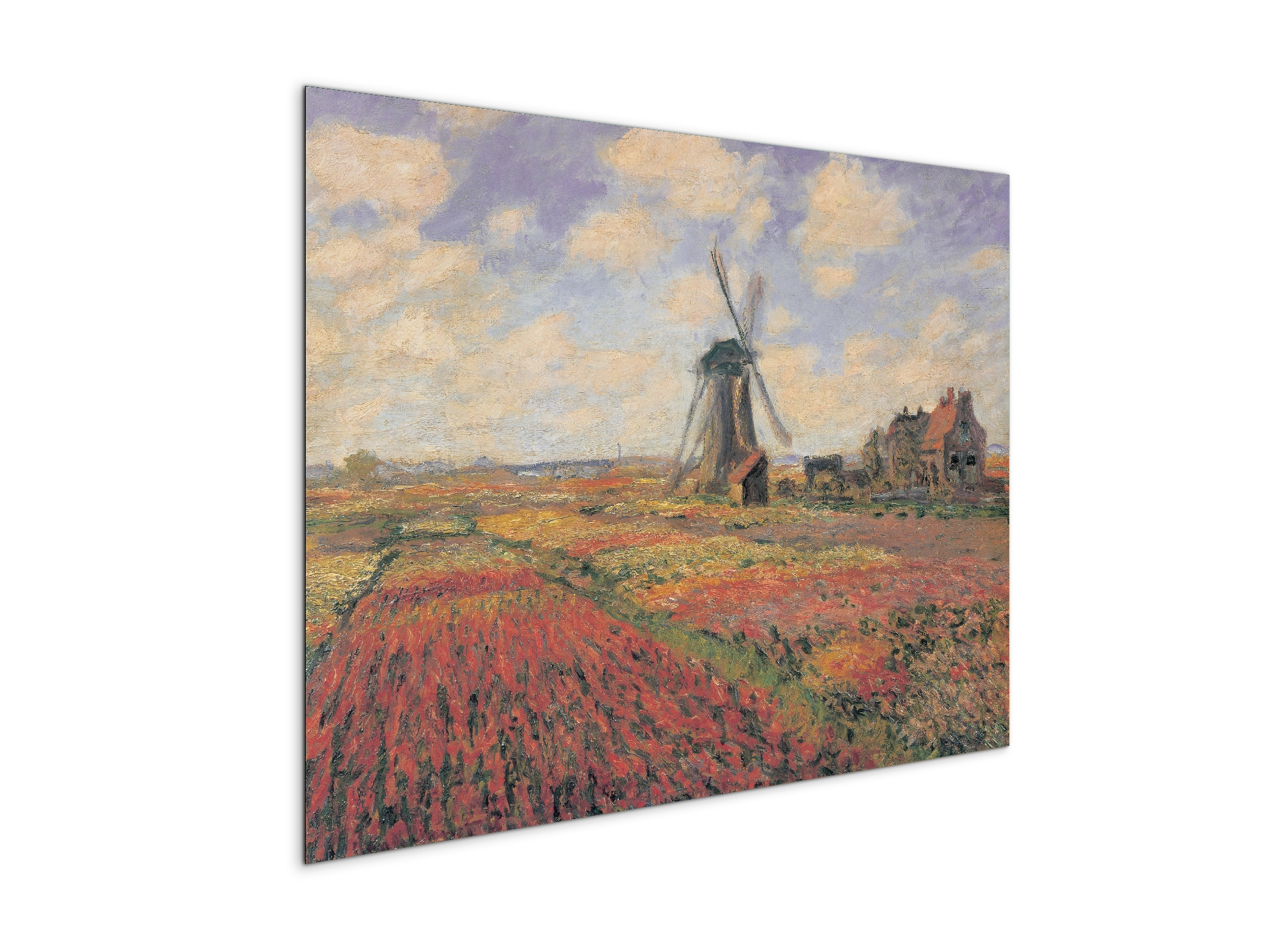 homage-to-monet-tulip-fields-with-windhillec16974-