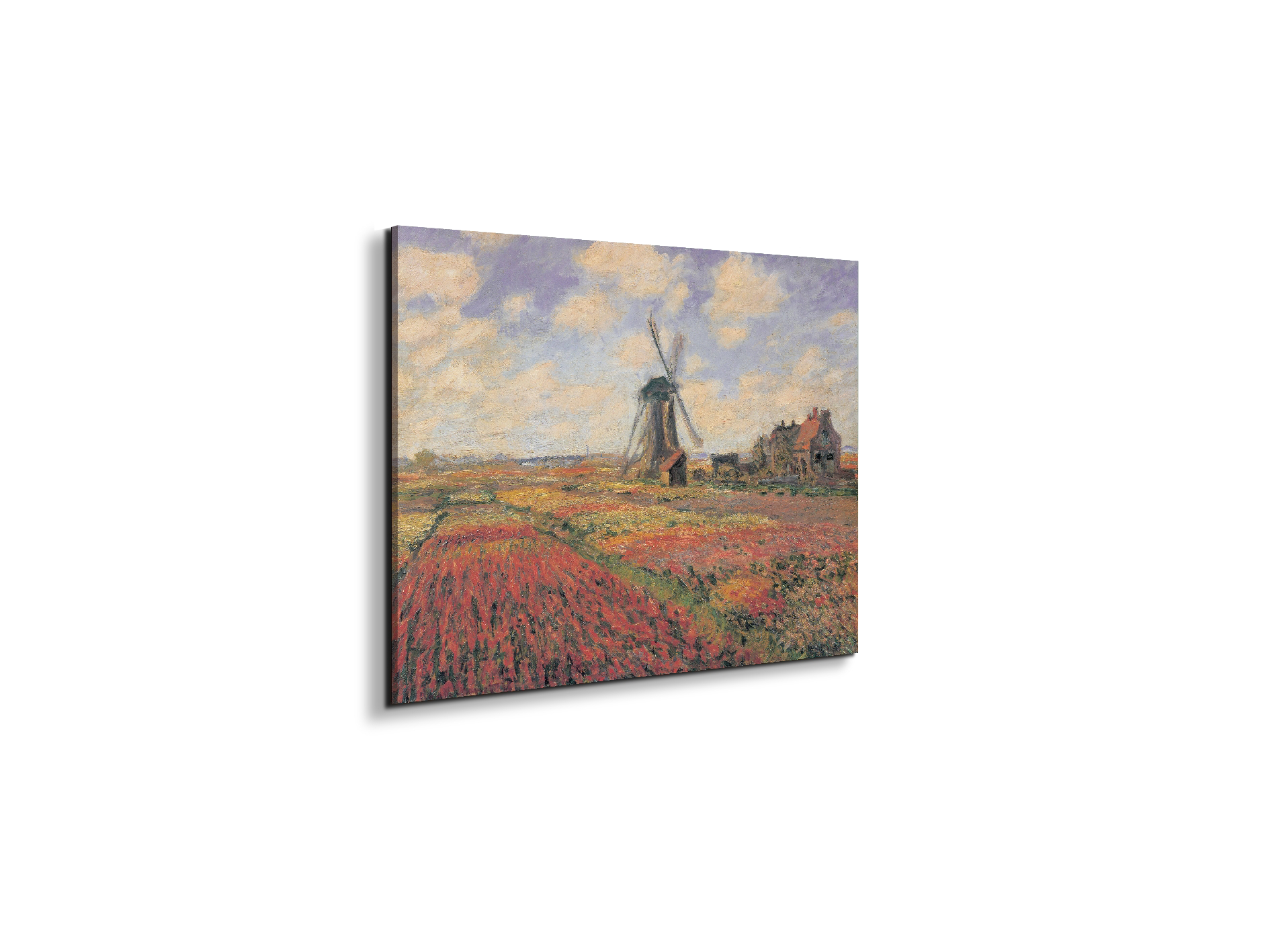 homage-to-monet-tulip-fields-with-windhillec16974-