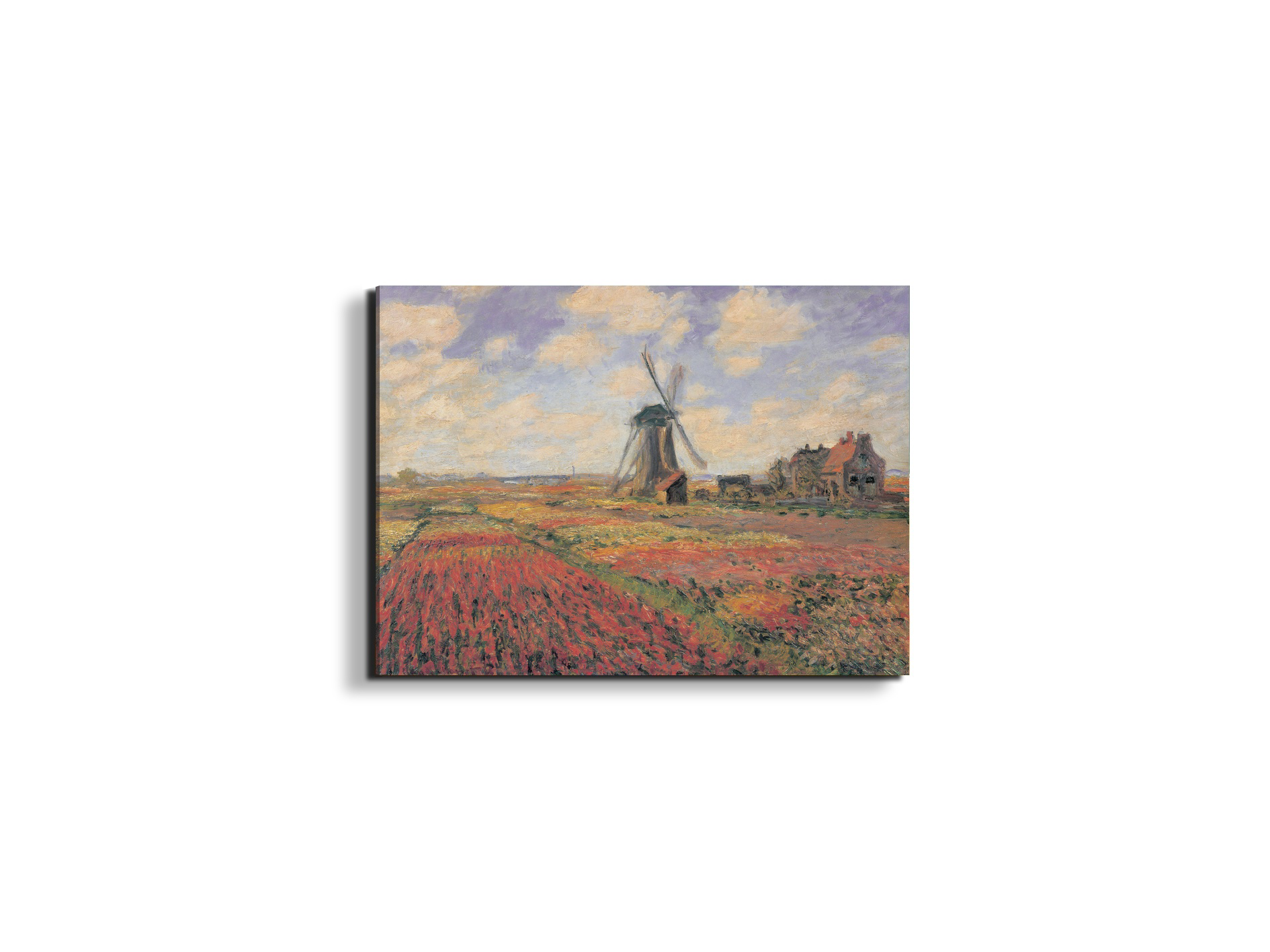homage-to-monet-tulip-fields-with-windhillec16974-