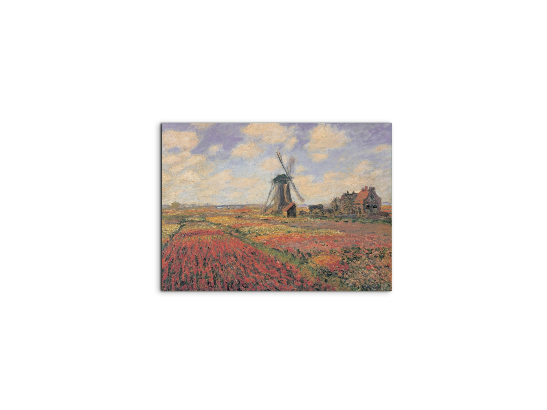 homage-to-monet-tulip-fields-with-windhillec16974-