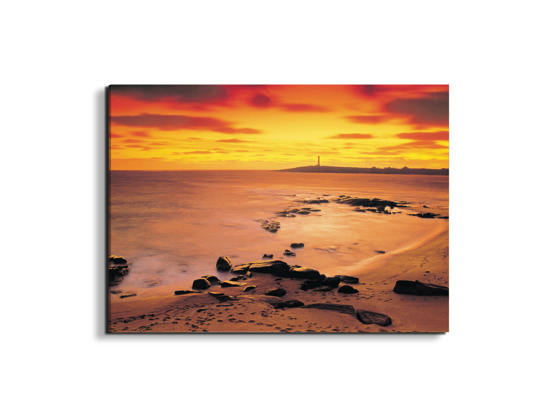 sea-flowec17206-
