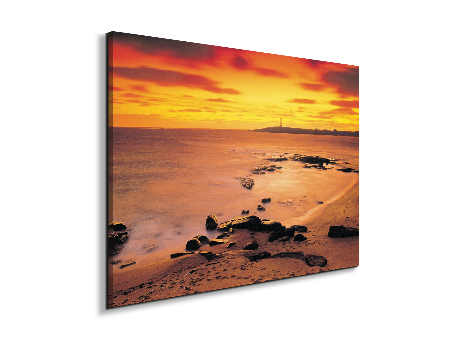sea-flowec17206-