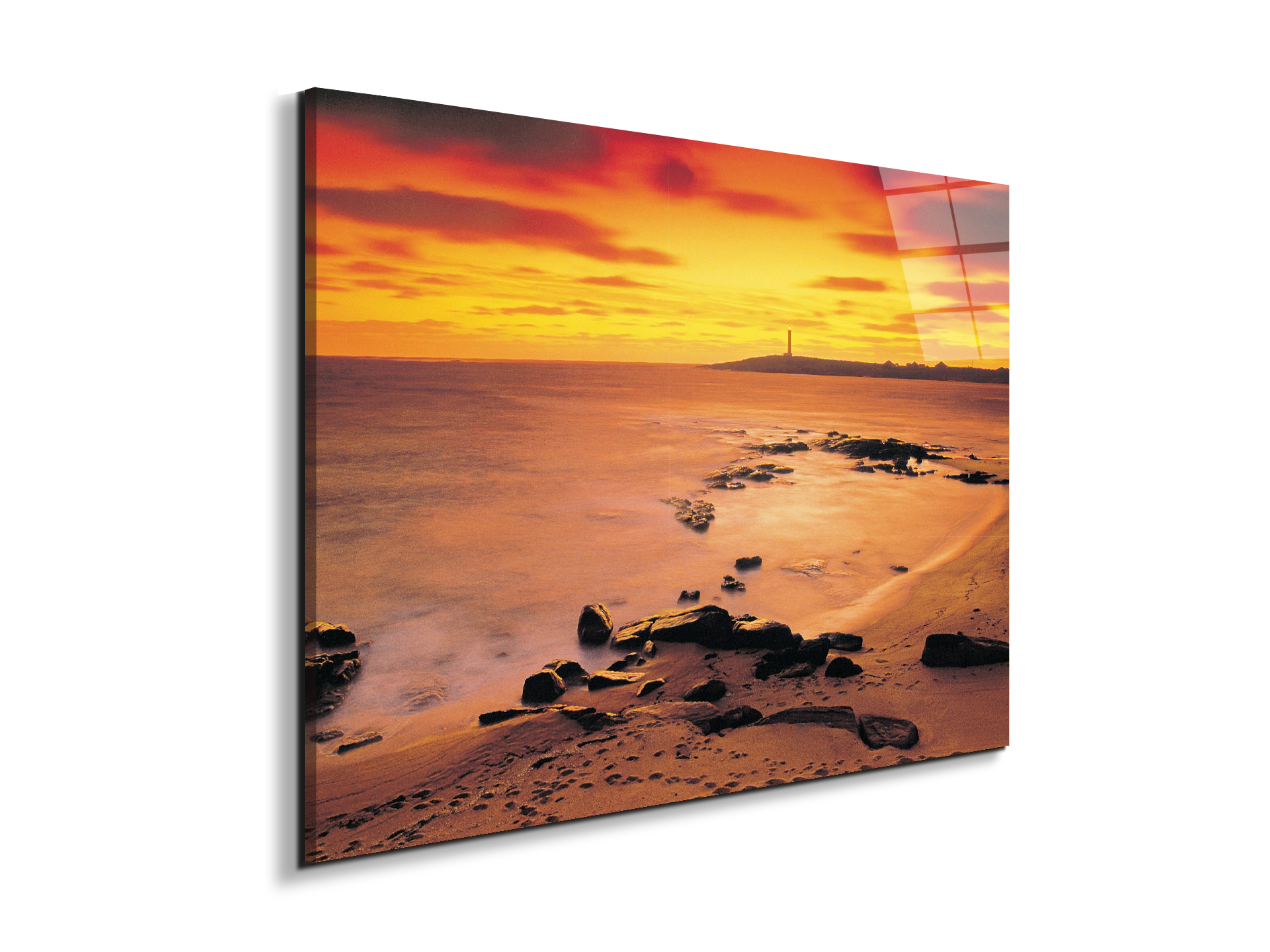 sea-flowec17206-