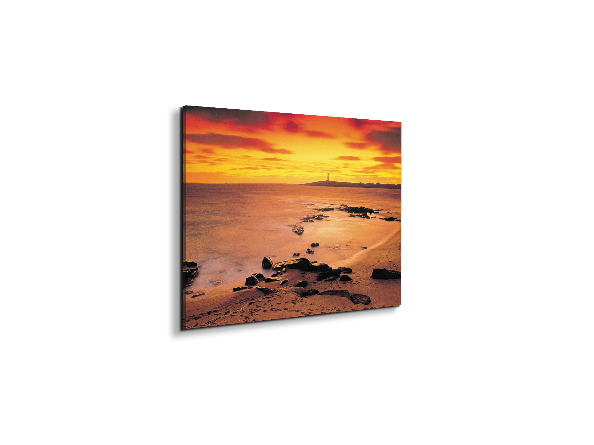sea-flowec17206-