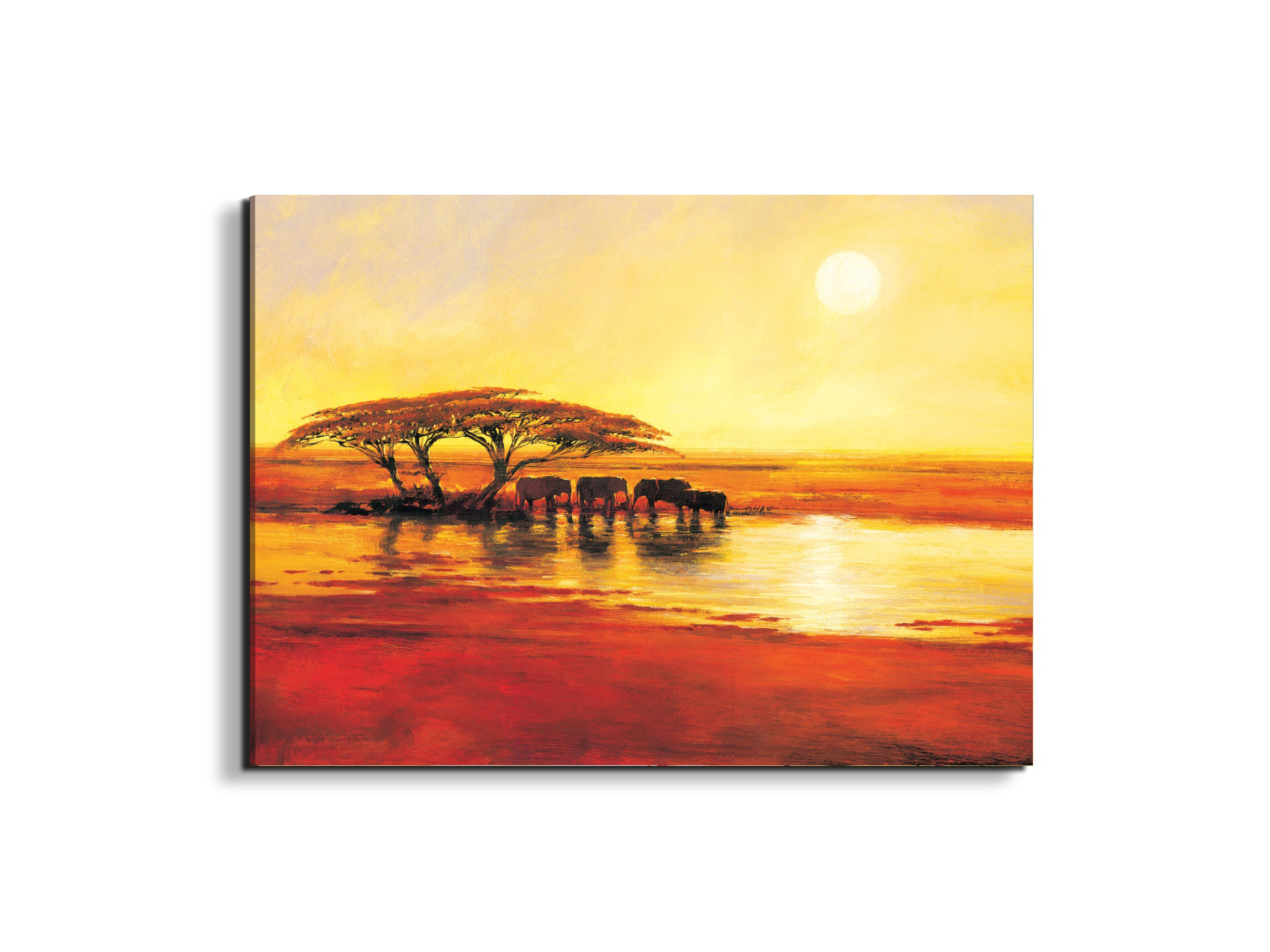 africa-2ec17578-