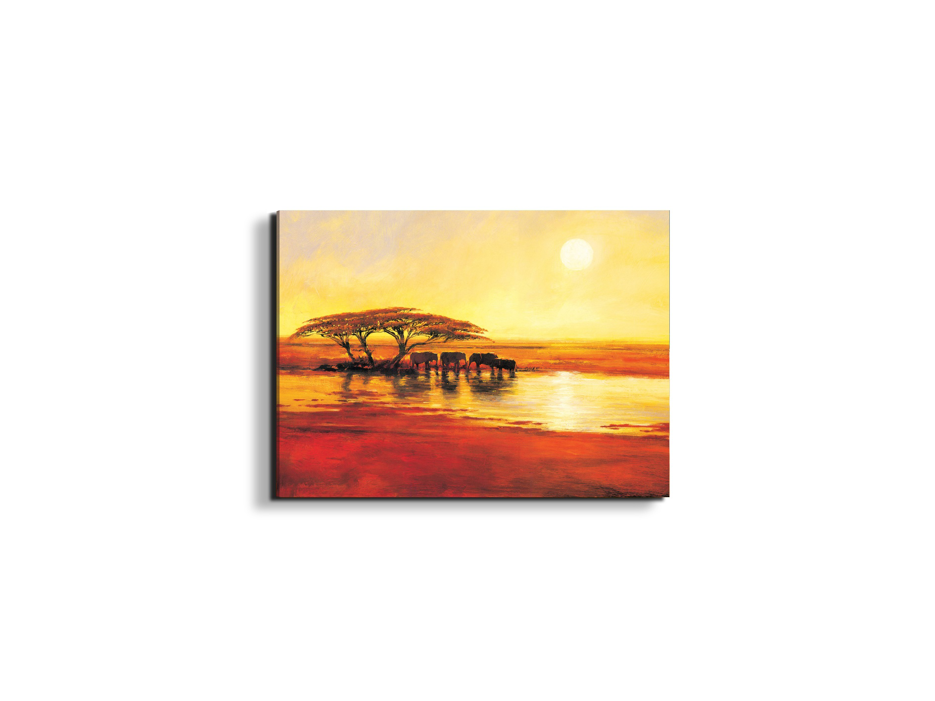 africa-2ec17578-