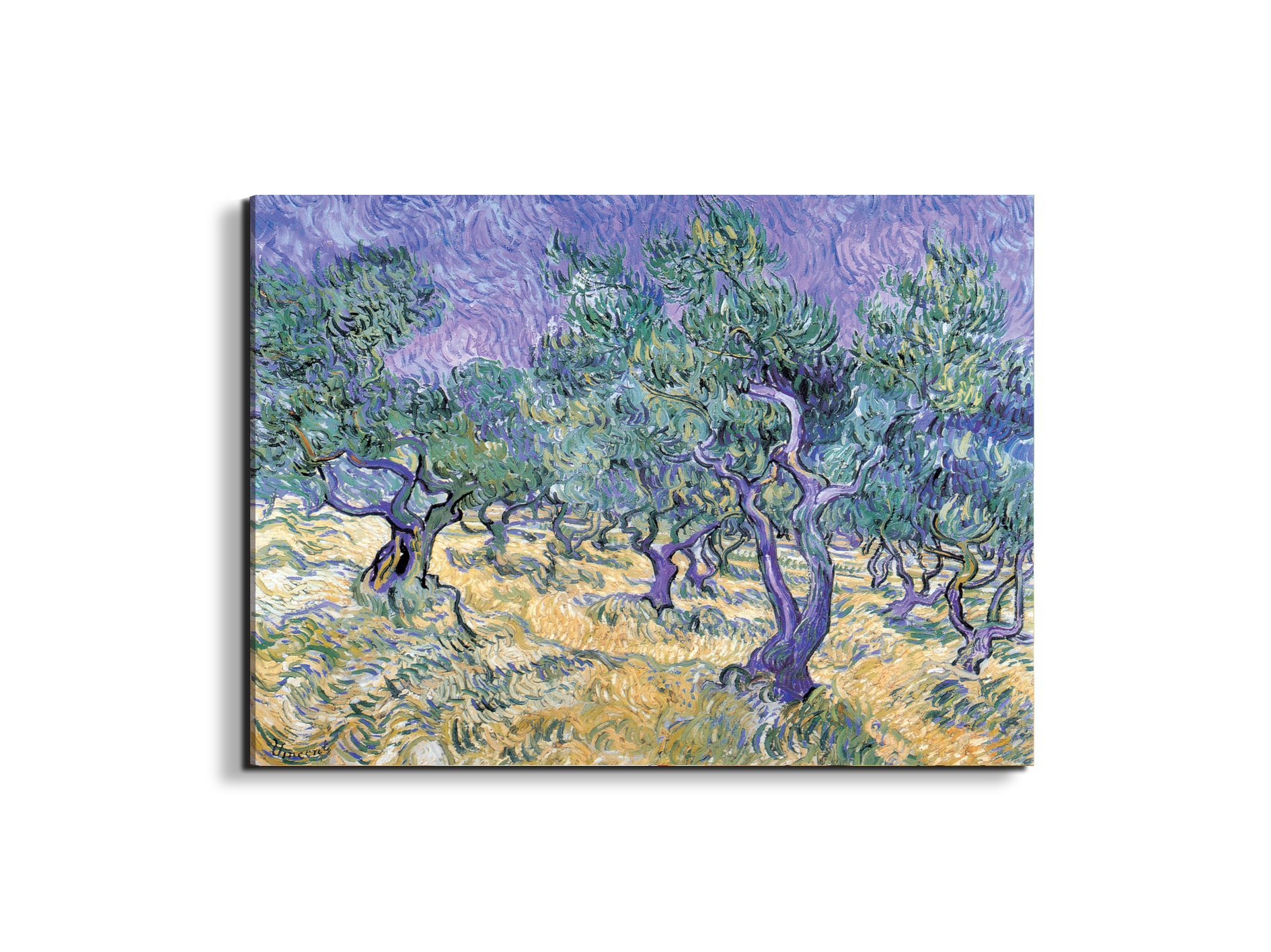 homage-to-van-gogh-olive-groveec17967-