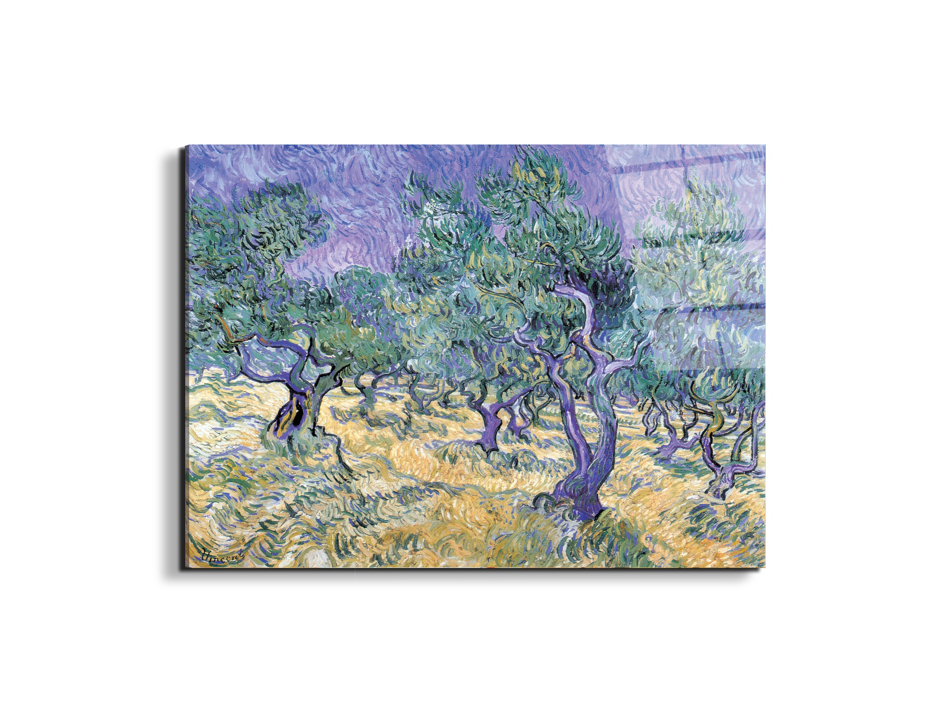 homage-to-van-gogh-olive-groveec17967-