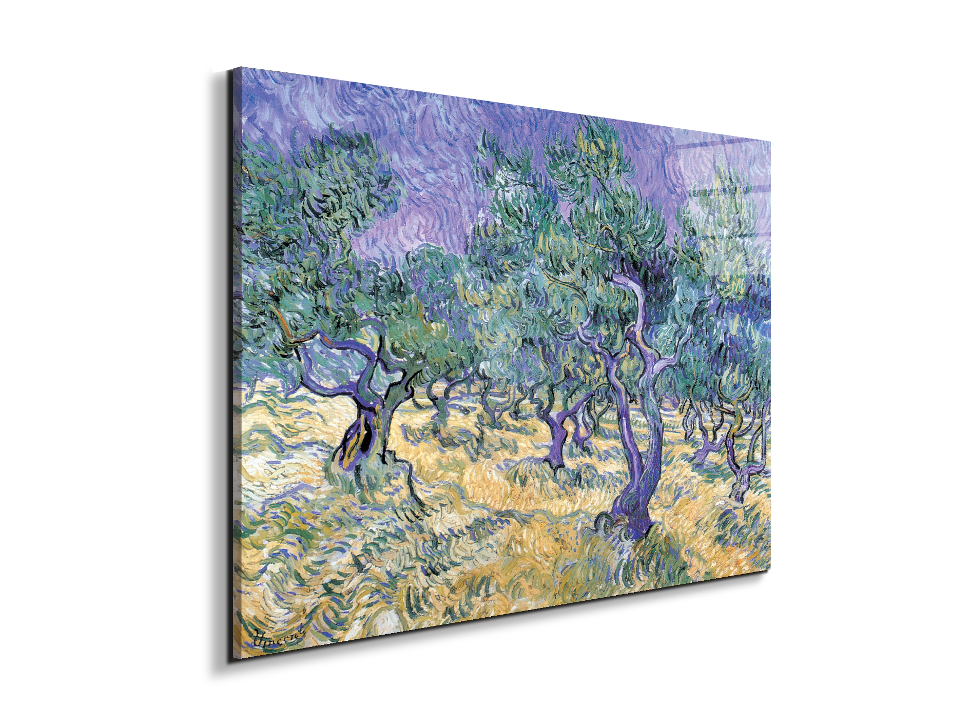 homage-to-van-gogh-olive-groveec17967-