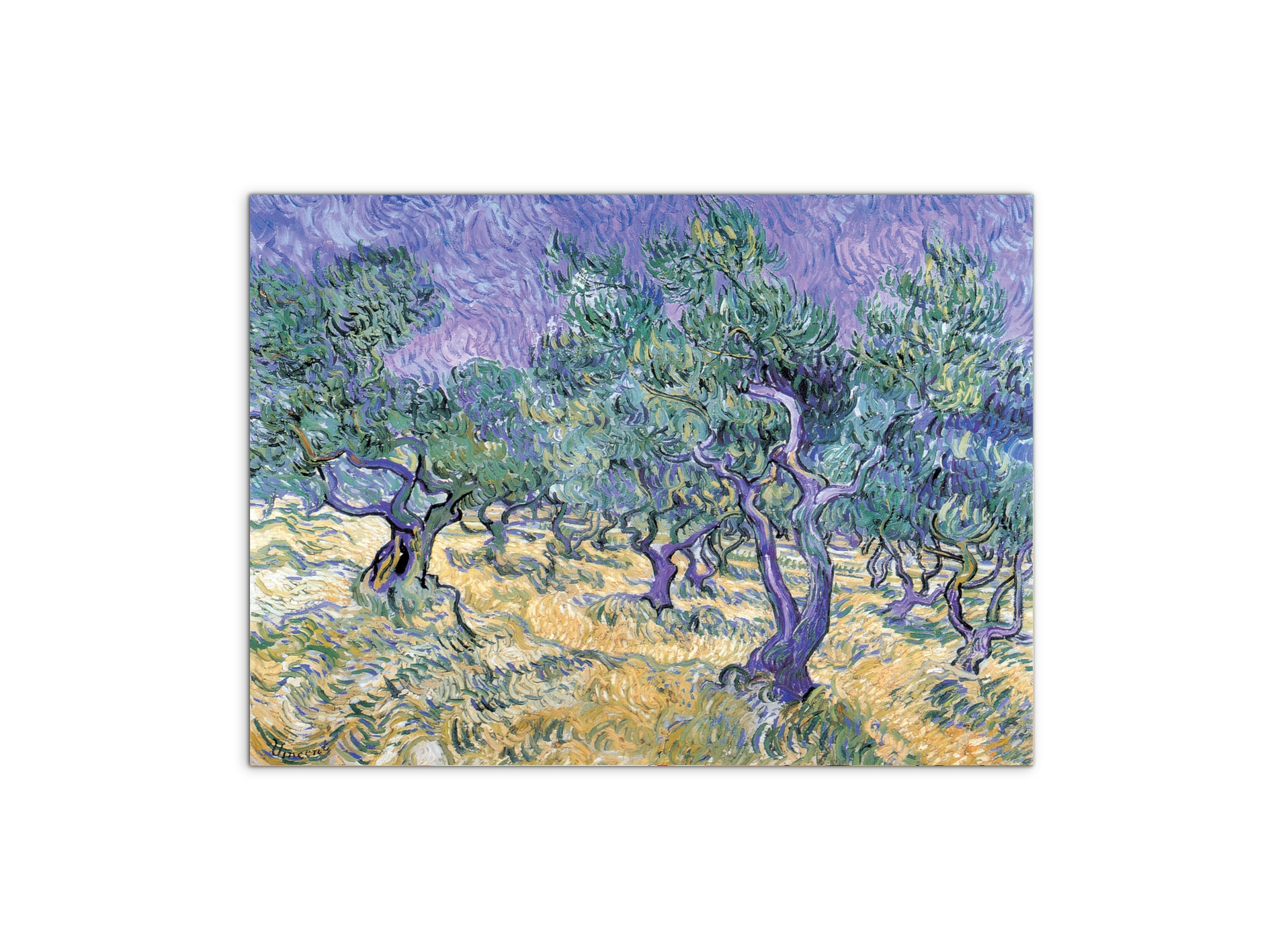 homage-to-van-gogh-olive-groveec17967-