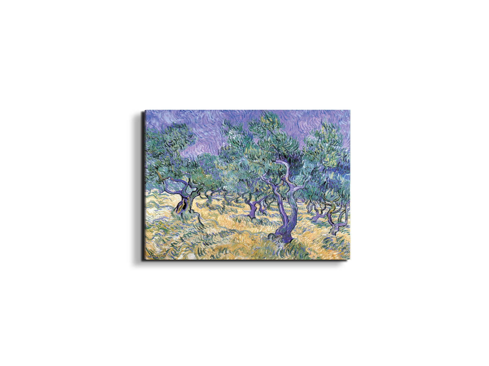 homage-to-van-gogh-olive-groveec17967-