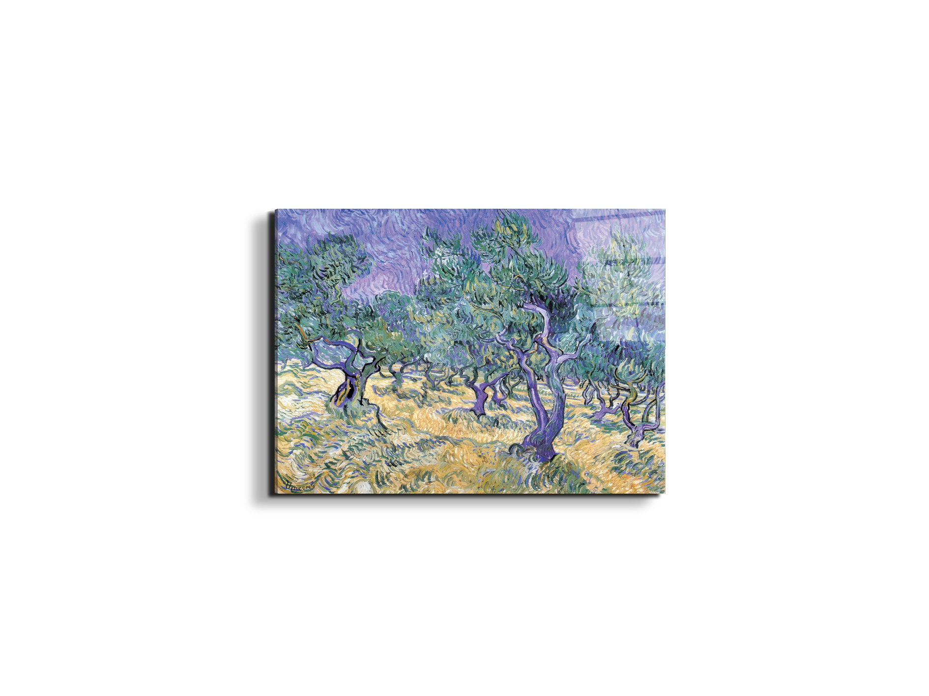 homage-to-van-gogh-olive-groveec17967-