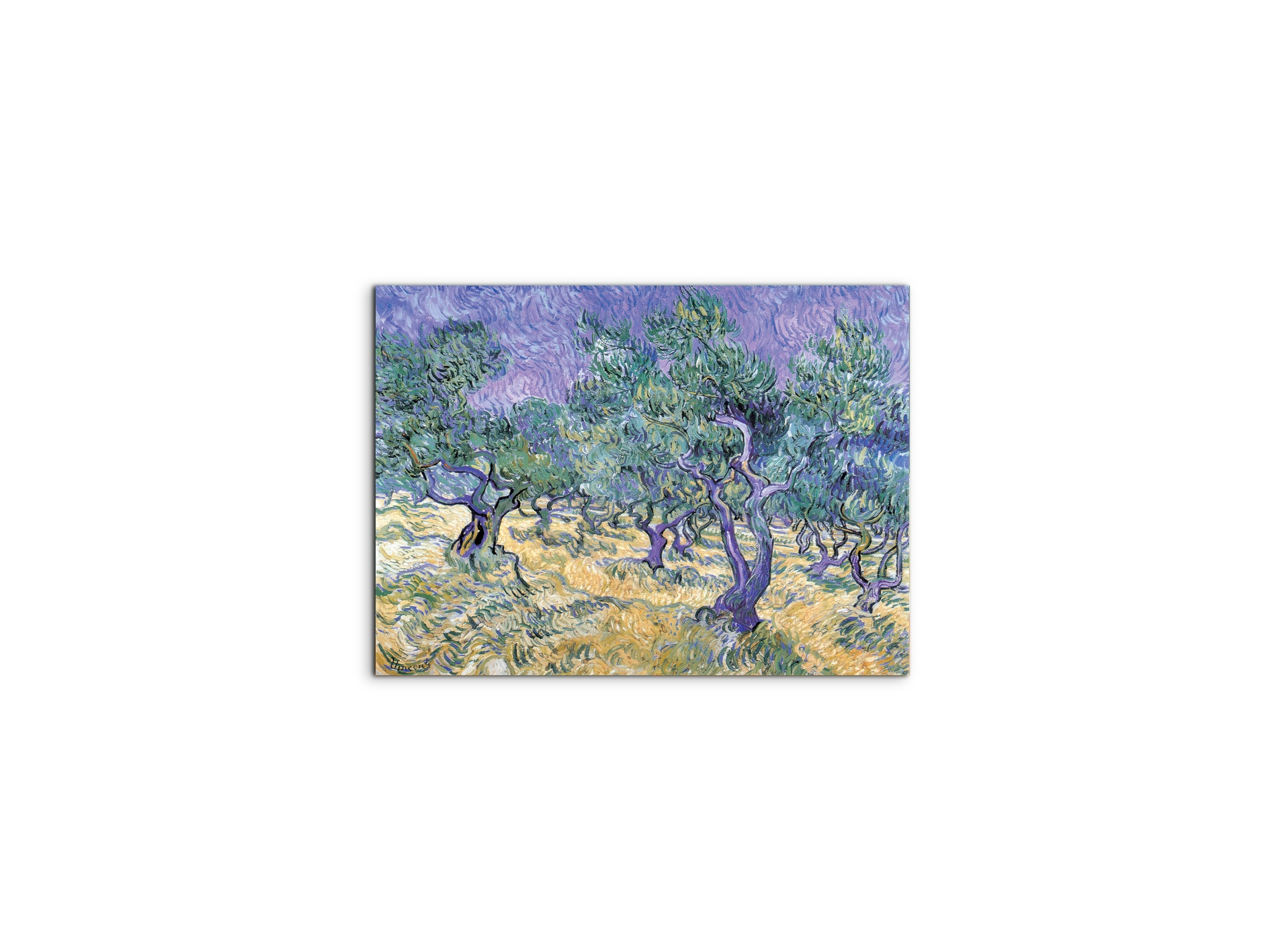 homage-to-van-gogh-olive-groveec17967-
