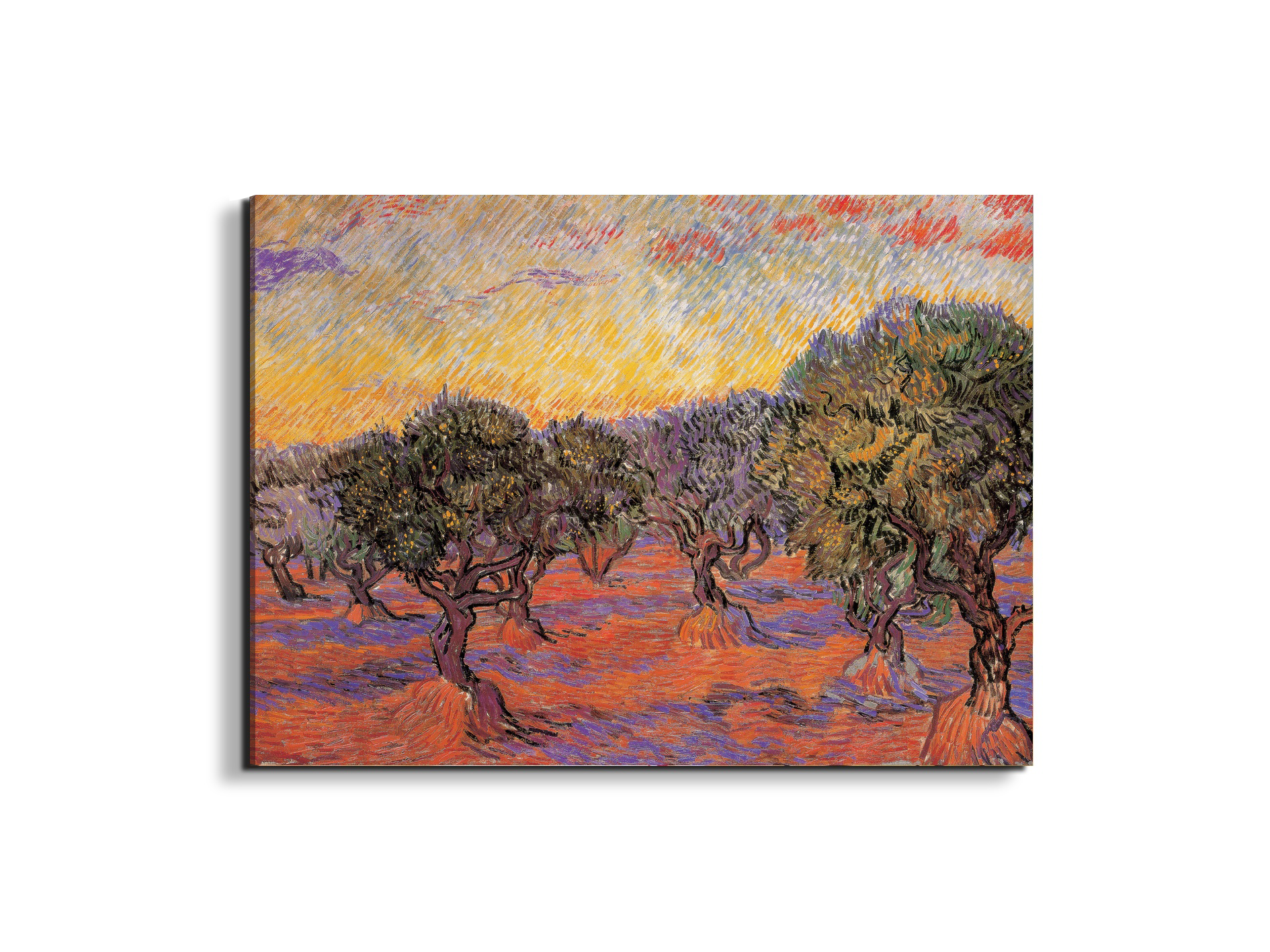 homage-to-van-gogh-olive-grove-iec17969-