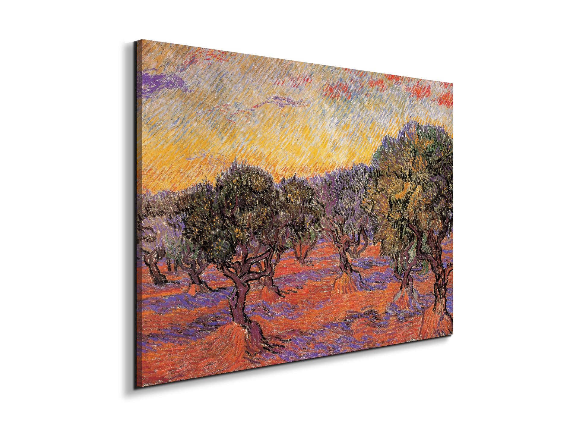 homage-to-van-gogh-olive-grove-iec17969-
