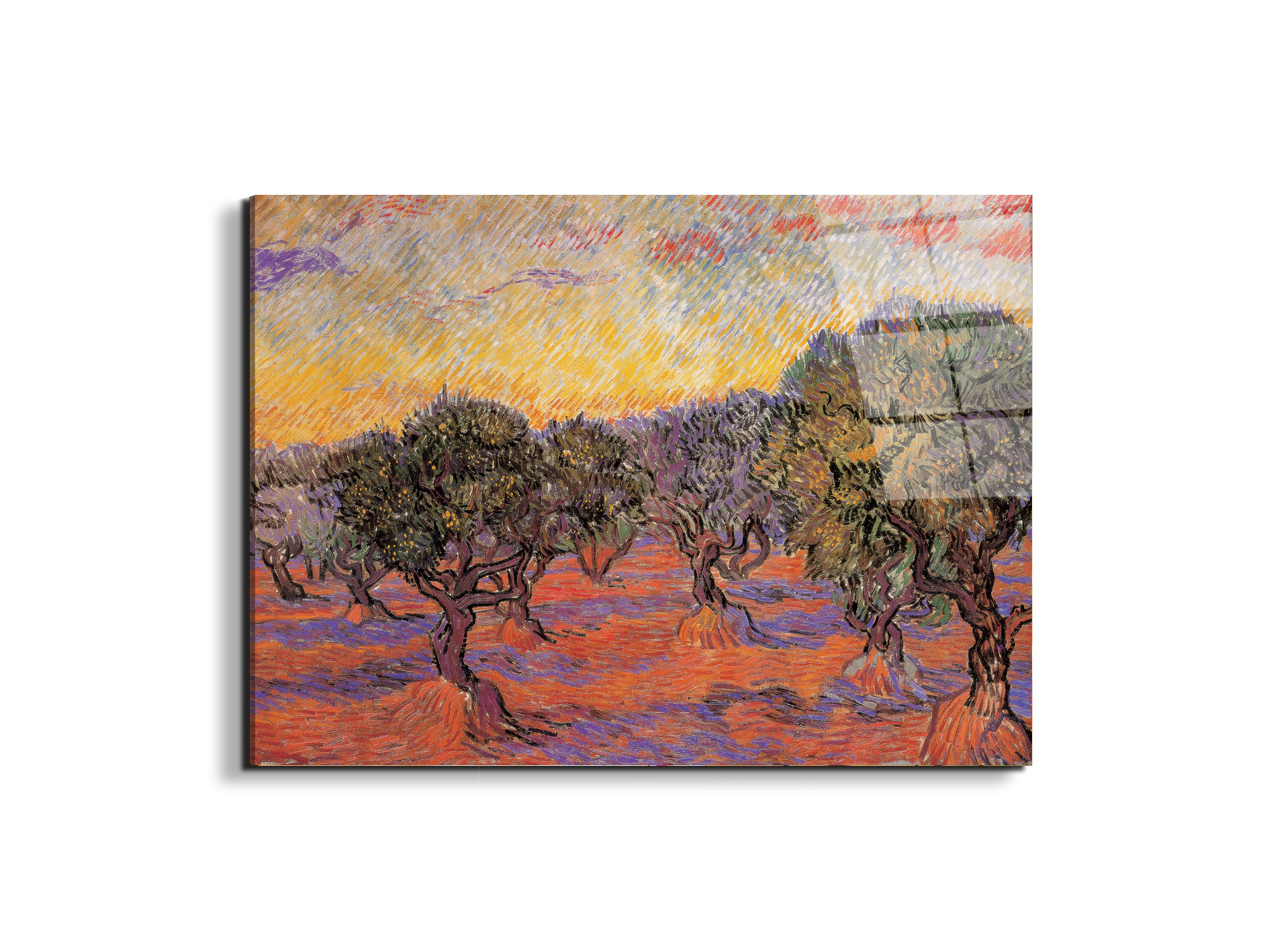 homage-to-van-gogh-olive-grove-iec17969-