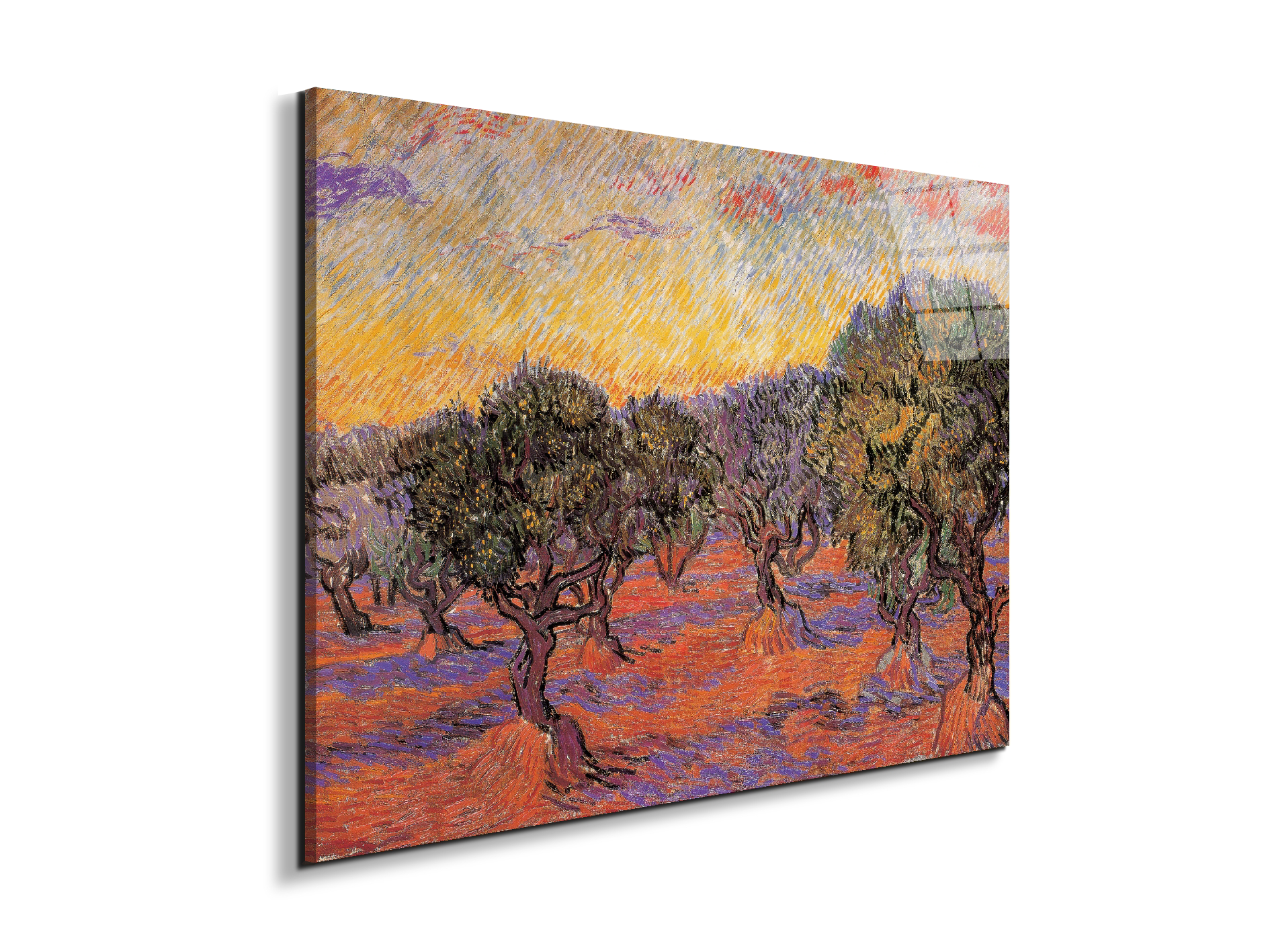 homage-to-van-gogh-olive-grove-iec17969-