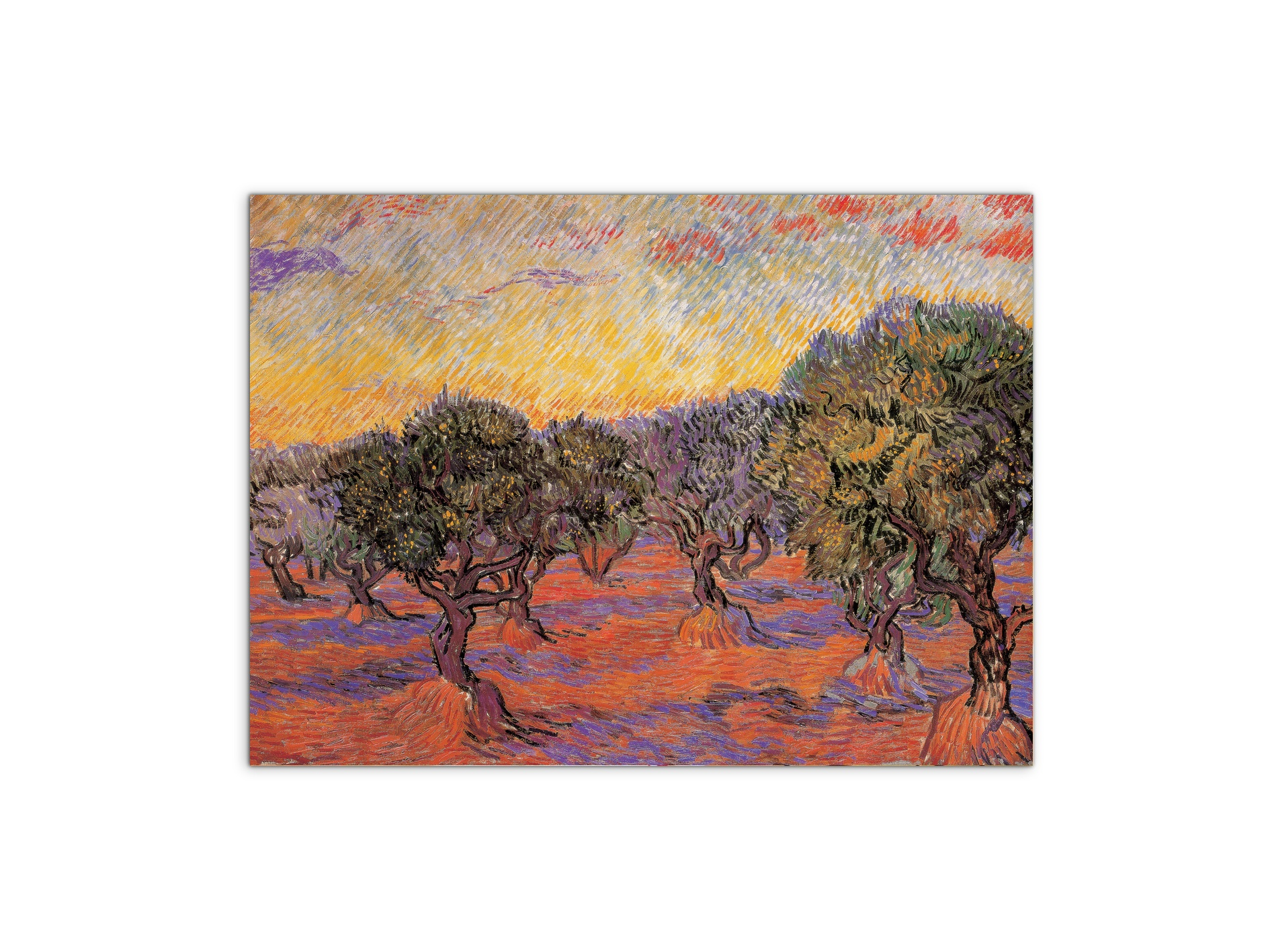 homage-to-van-gogh-olive-grove-iec17969-