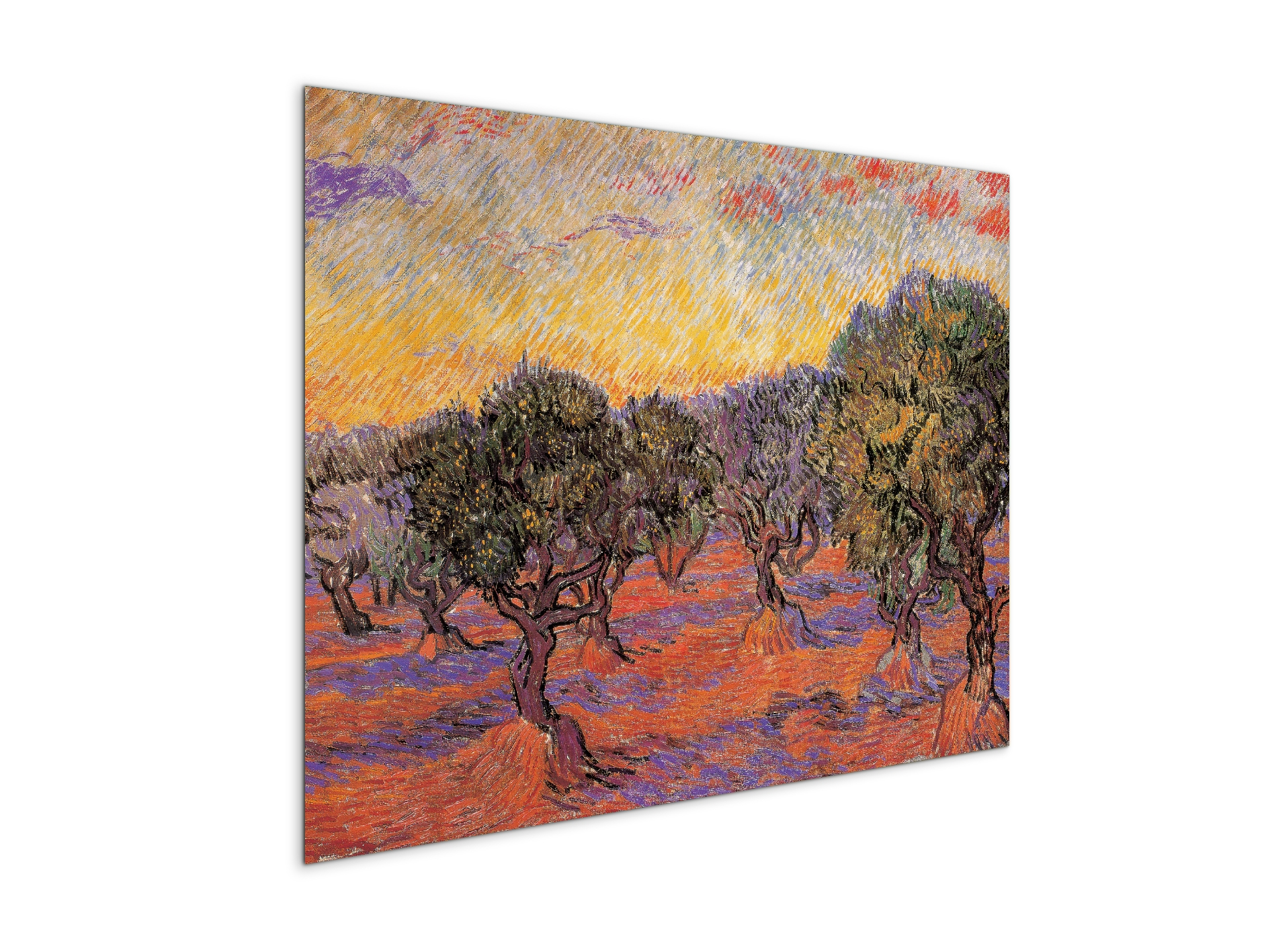 homage-to-van-gogh-olive-grove-iec17969-