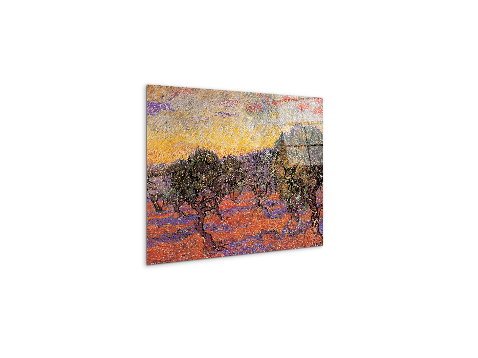homage-to-van-gogh-olive-grove-iec17969-
