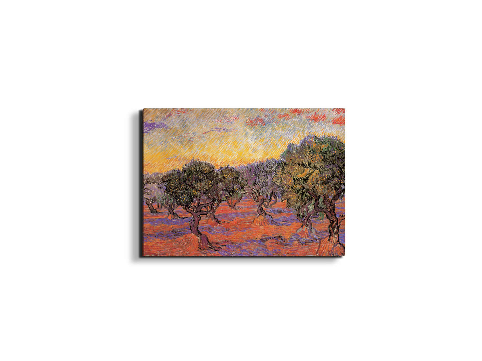 homage-to-van-gogh-olive-grove-iec17969-