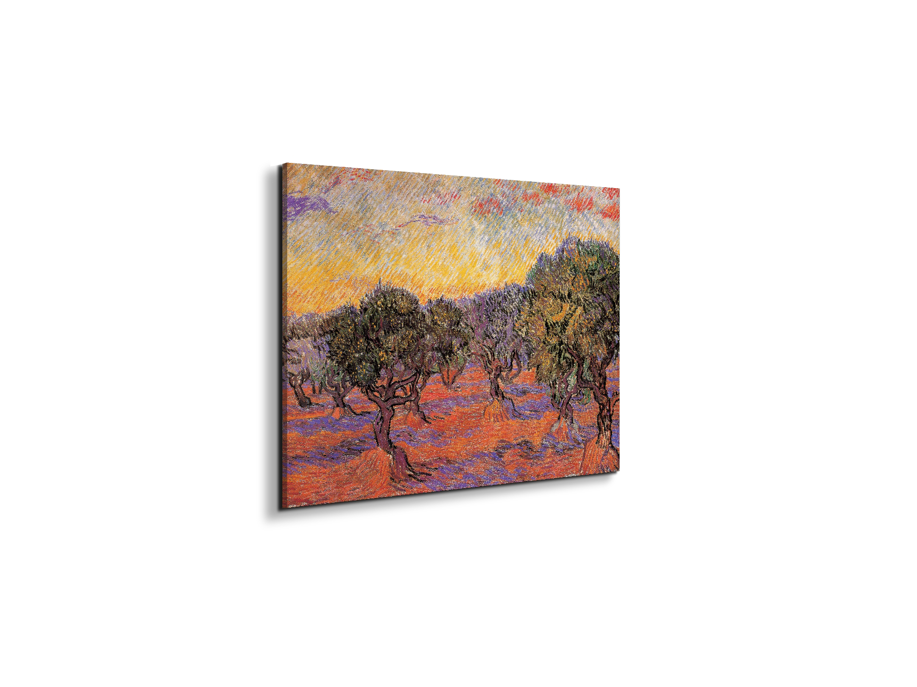 homage-to-van-gogh-olive-grove-iec17969-