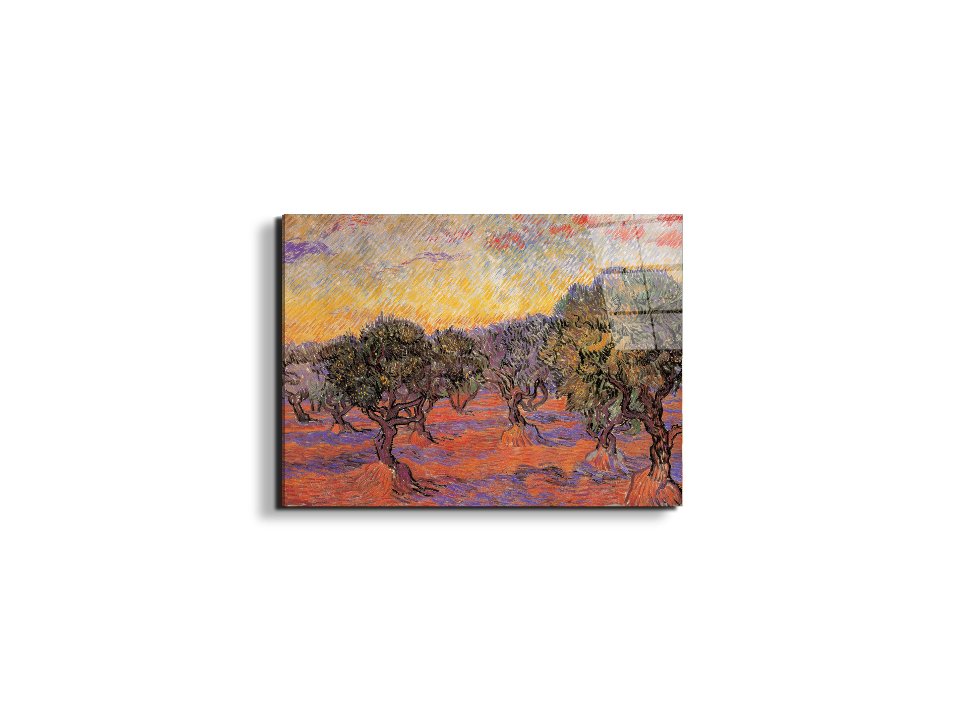 homage-to-van-gogh-olive-grove-iec17969-