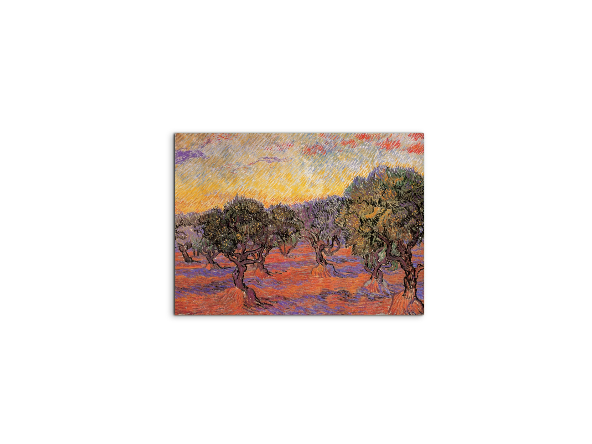 homage-to-van-gogh-olive-grove-iec17969-