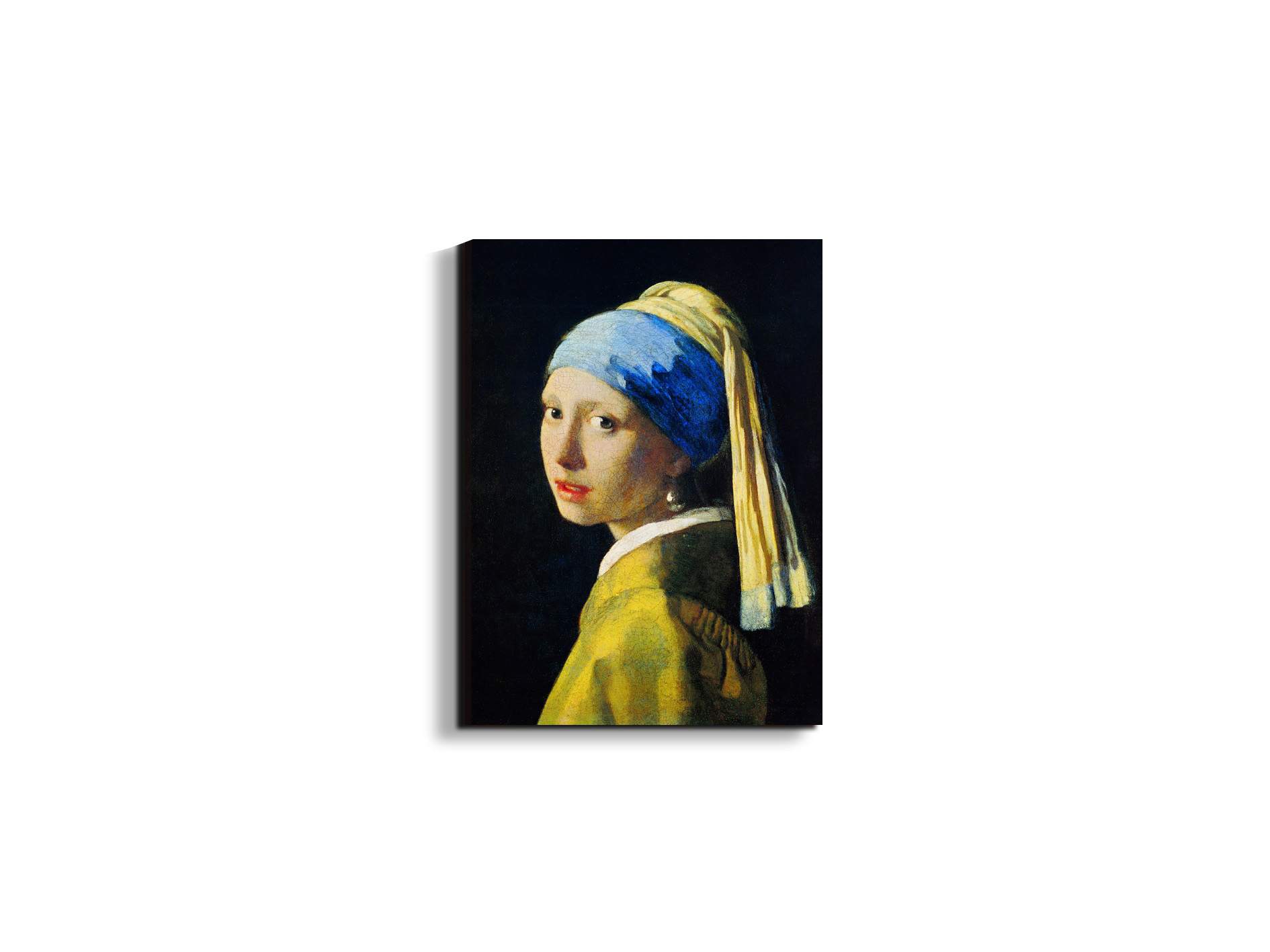 homage-to-vermeer-girl-with-a-pearl-earringec18029-