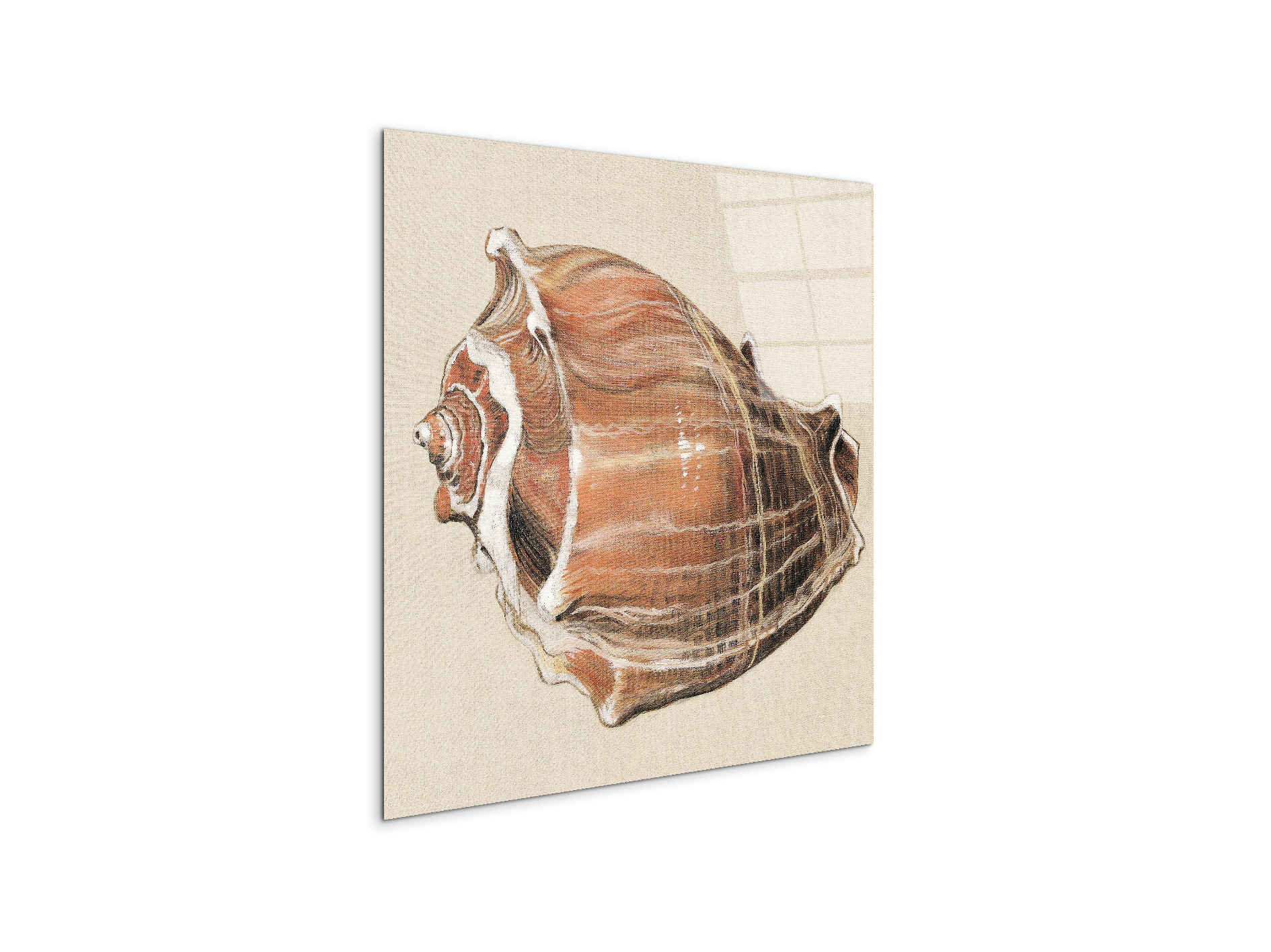 seashell-simplicityec18161-#materiale_CrystalArt/dimensioni_58x58