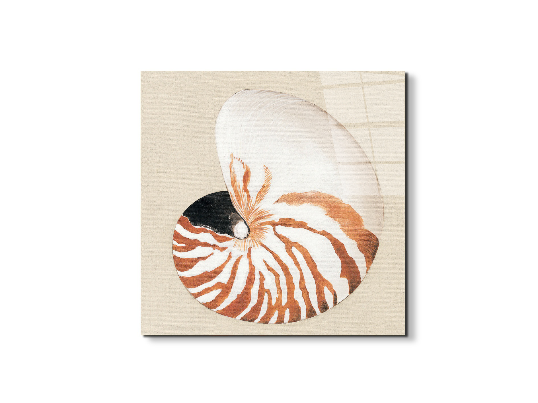 seashell-geometryec18163-#materiale_EarthArt Total Gloss/dimensioni_58x58