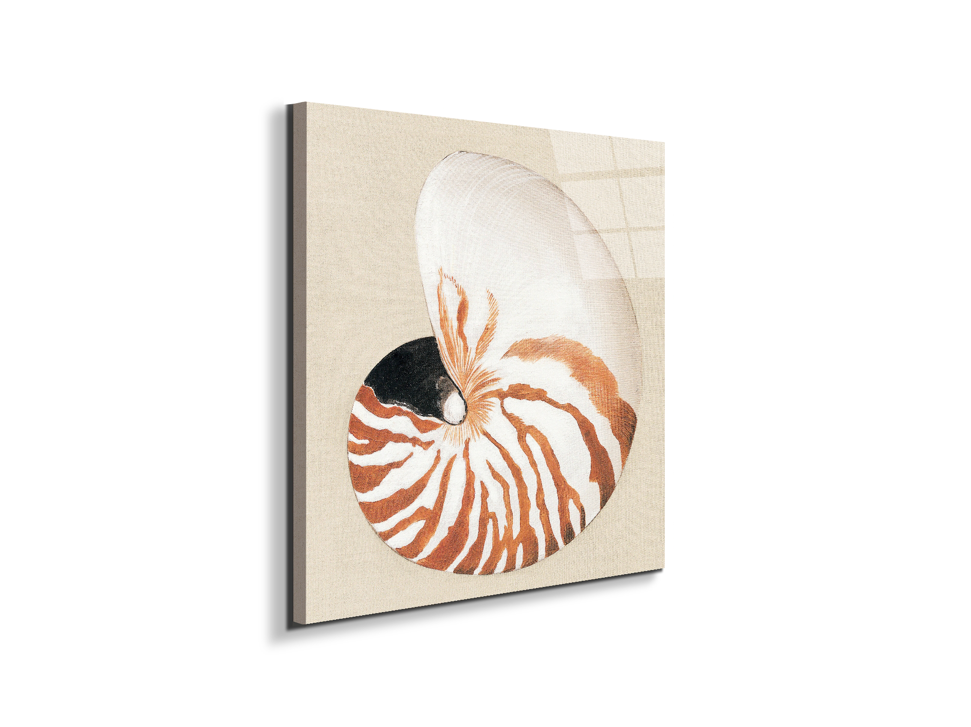 seashell-geometryec18163-#materiale_EarthArt Total Gloss/dimensioni_58x58