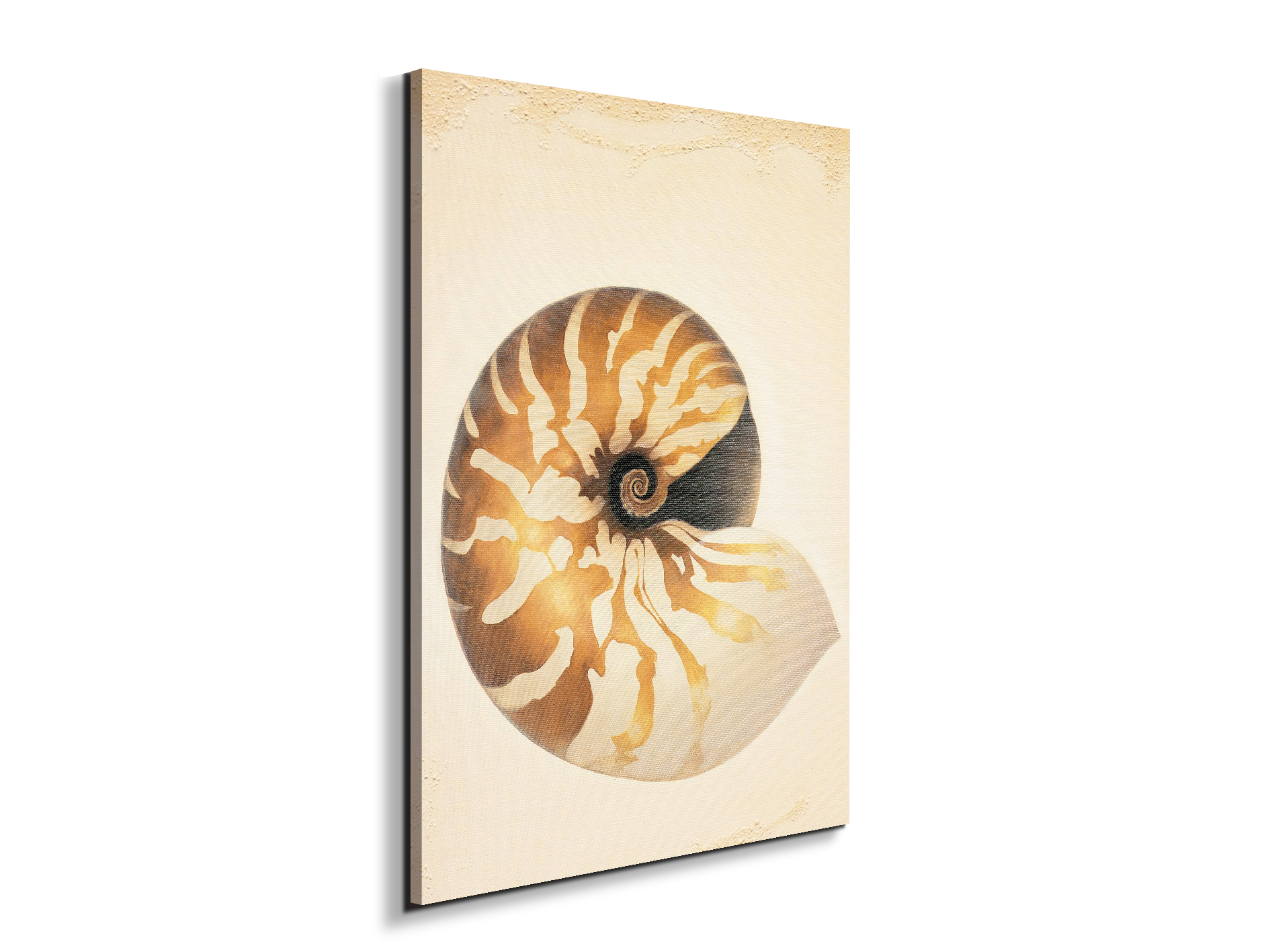 seashell-patternec18208-