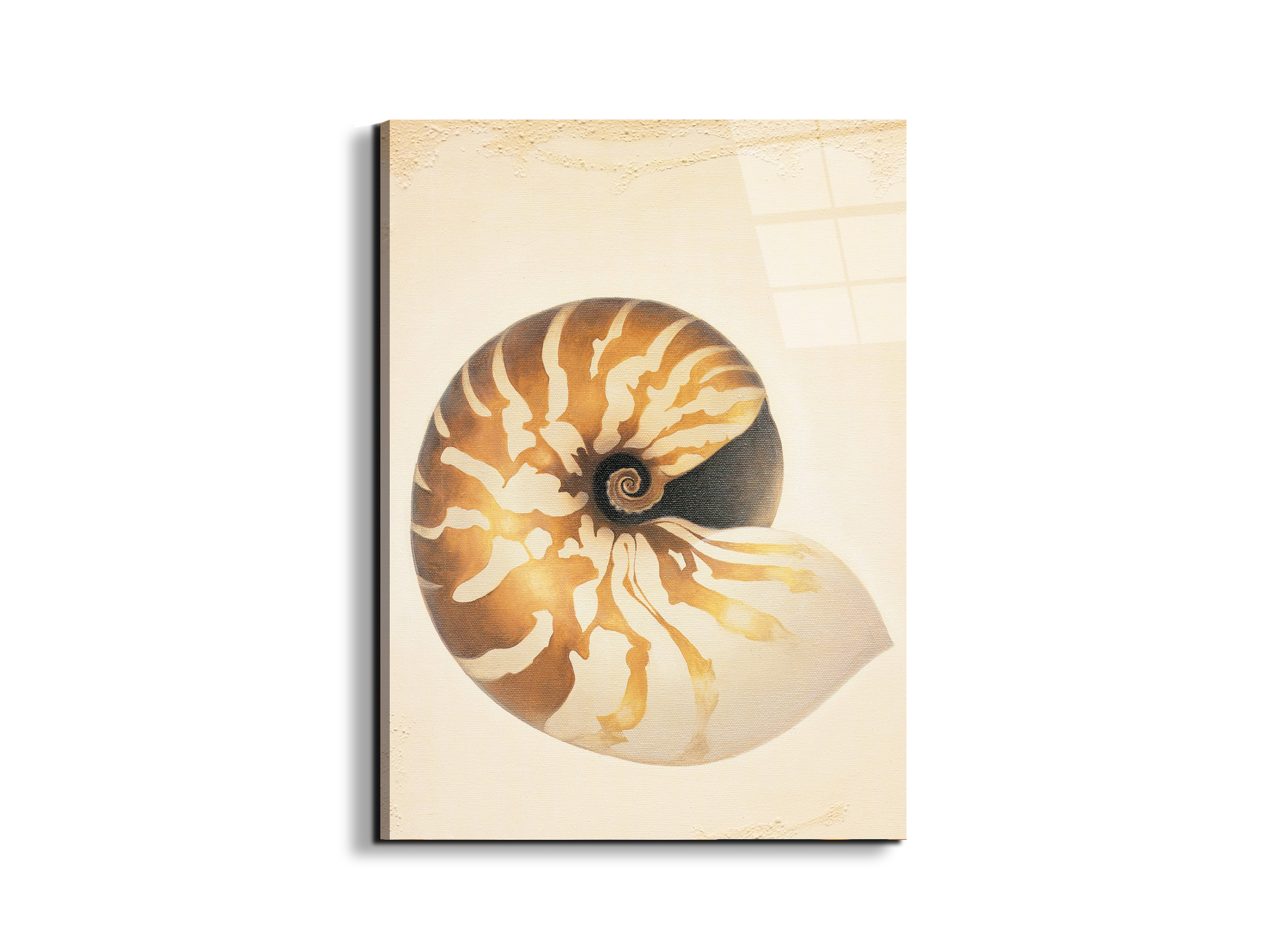 seashell-patternec18208-