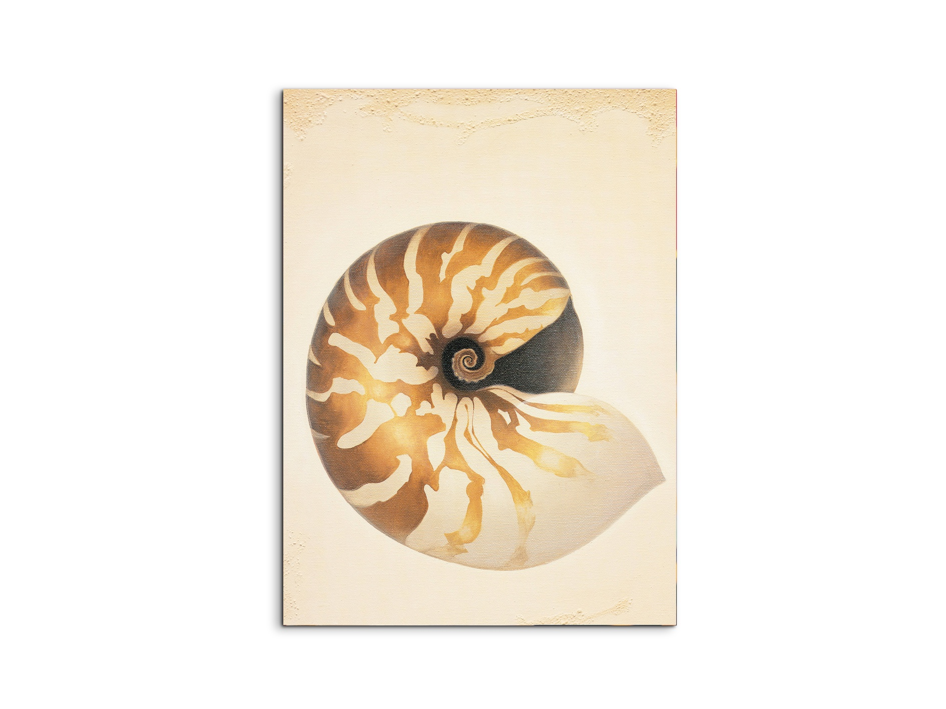 seashell-patternec18208-