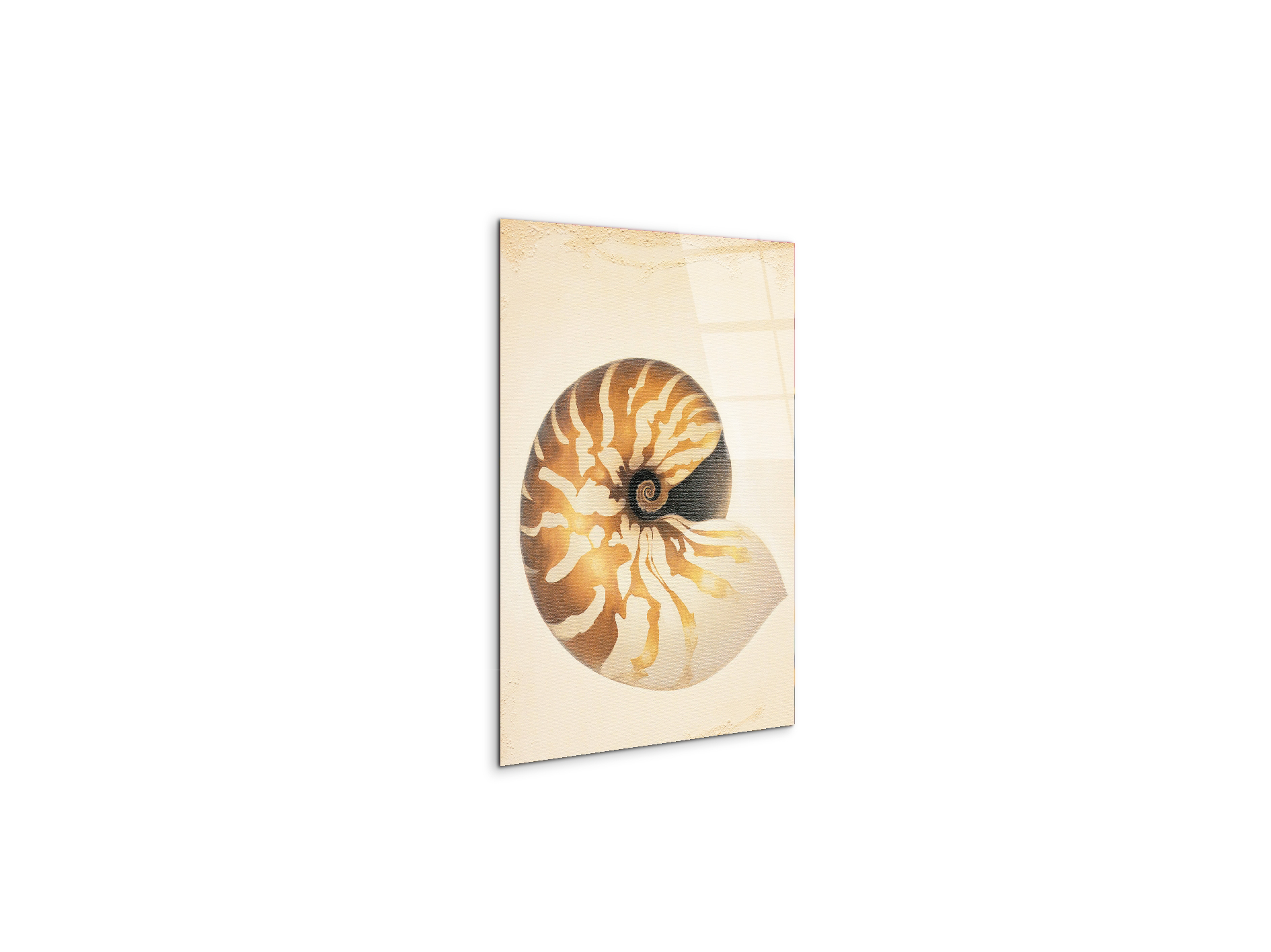 seashell-patternec18208-