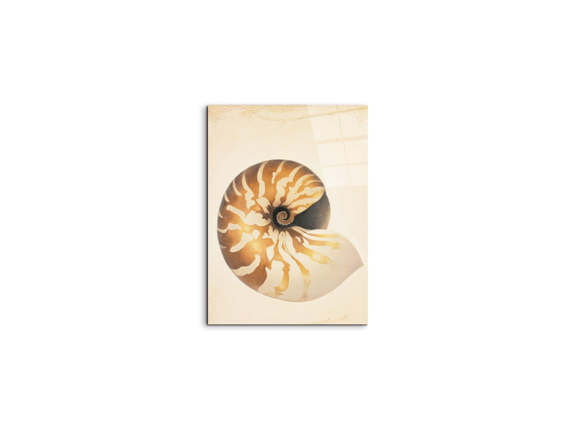 seashell-patternec18208-