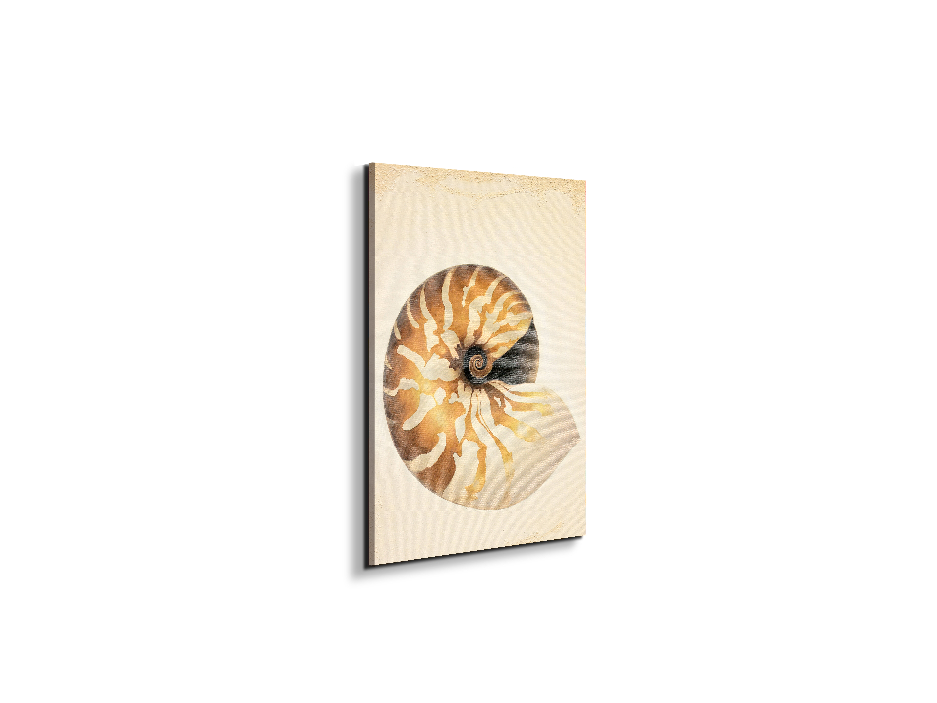 seashell-patternec18208-