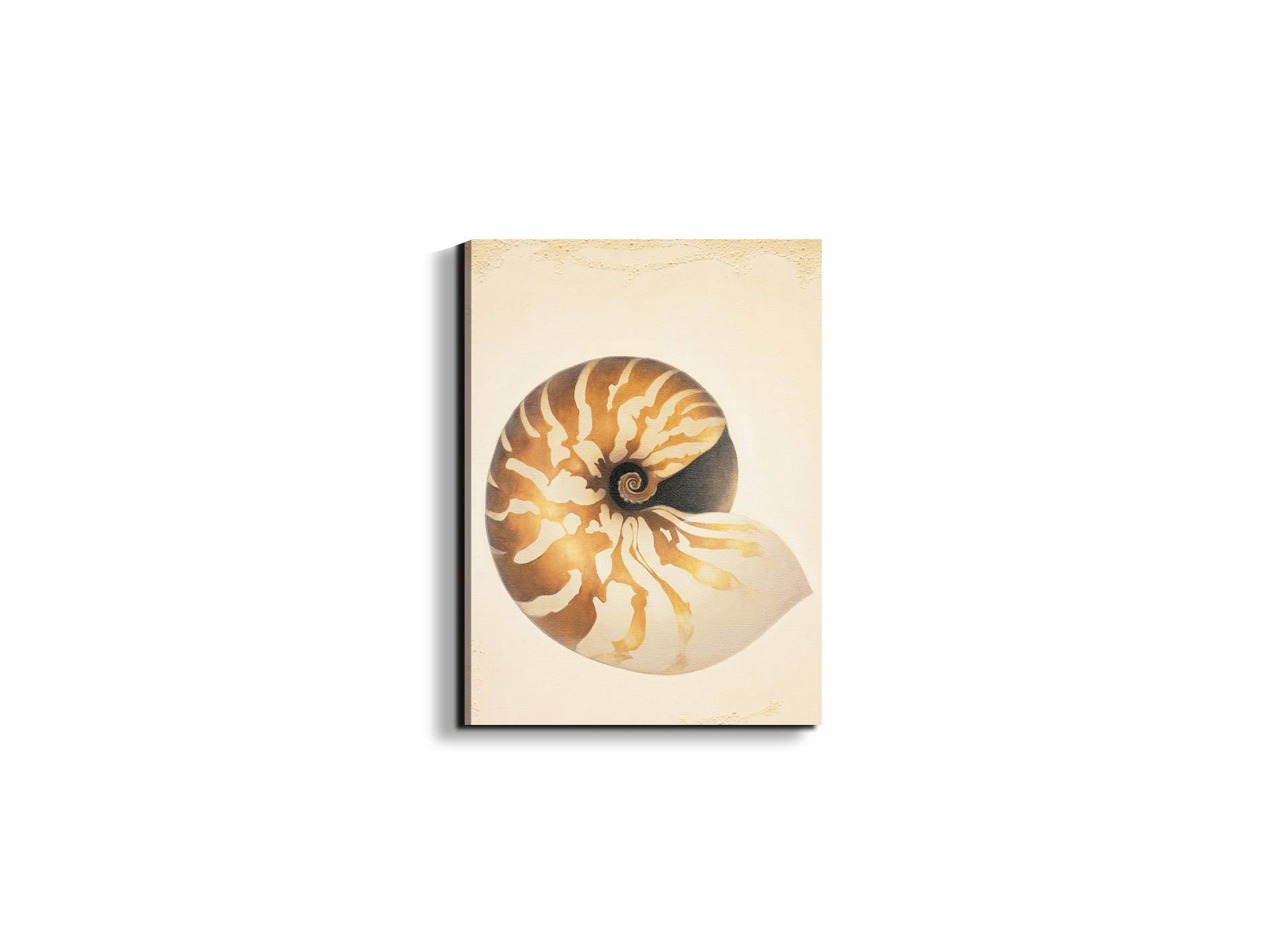 seashell-patternec18208-