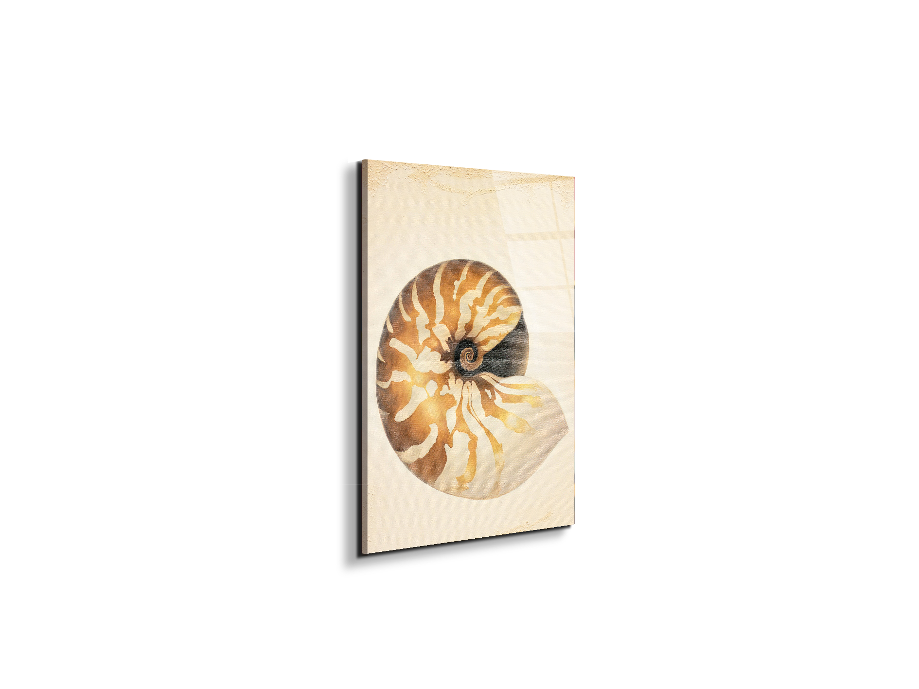 seashell-patternec18208-
